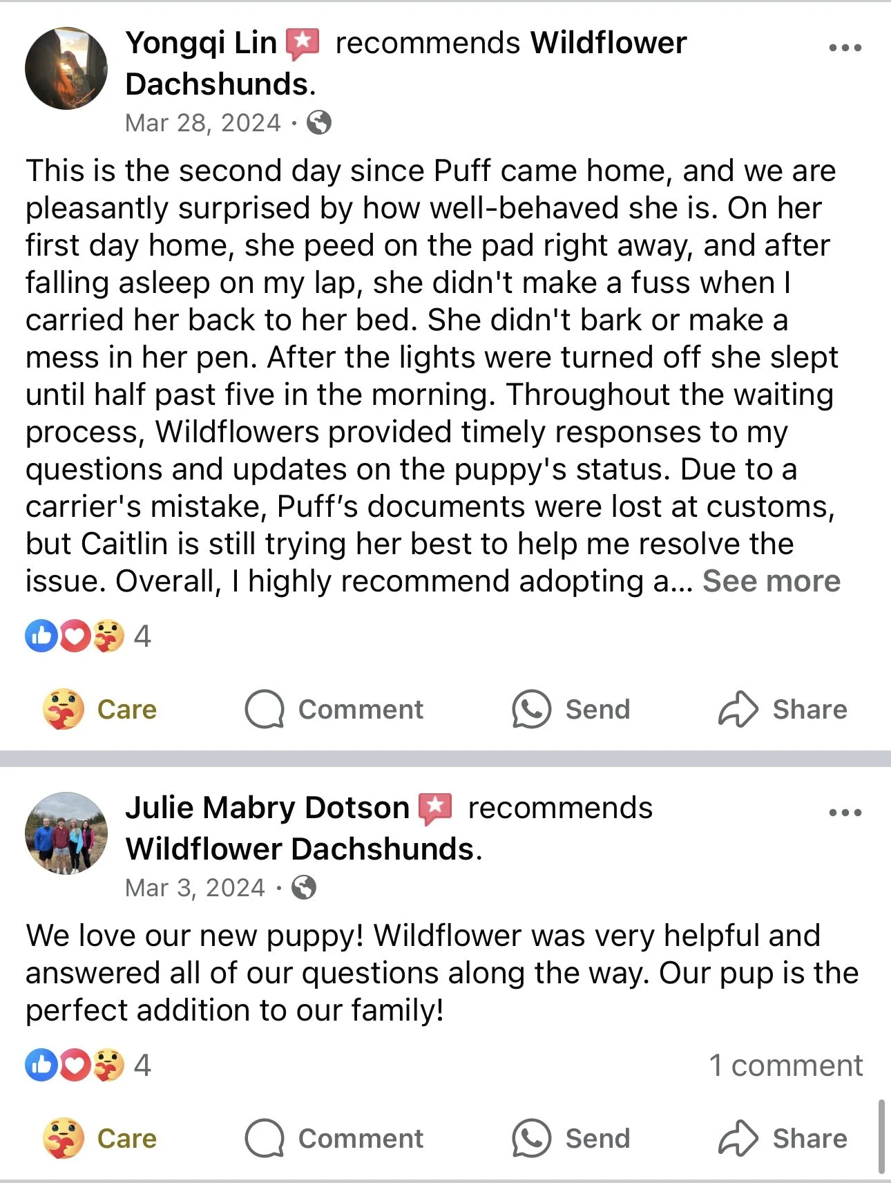 Two Facebook posts from Yongqi Lin and Julie Mabry Dotson recommending Wildflower Dachshunds as a breeder. The posts include updates on a puppy named Puff and the new puppy's positive experiences and helpfulness.