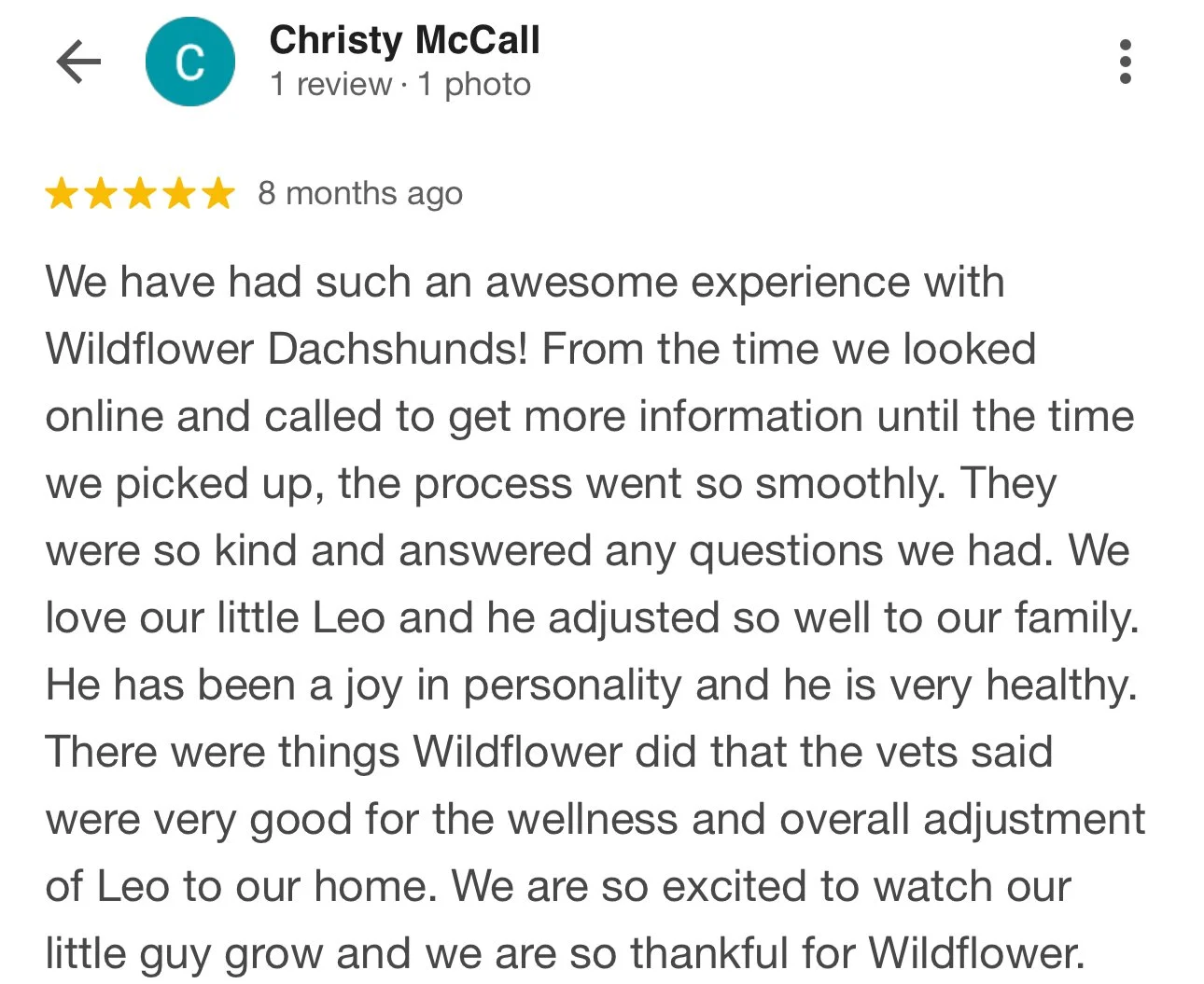 Screenshot of a Google review for Wildflower Dachshunds written by Christy McCall, praising the experience with their puppy Leo.