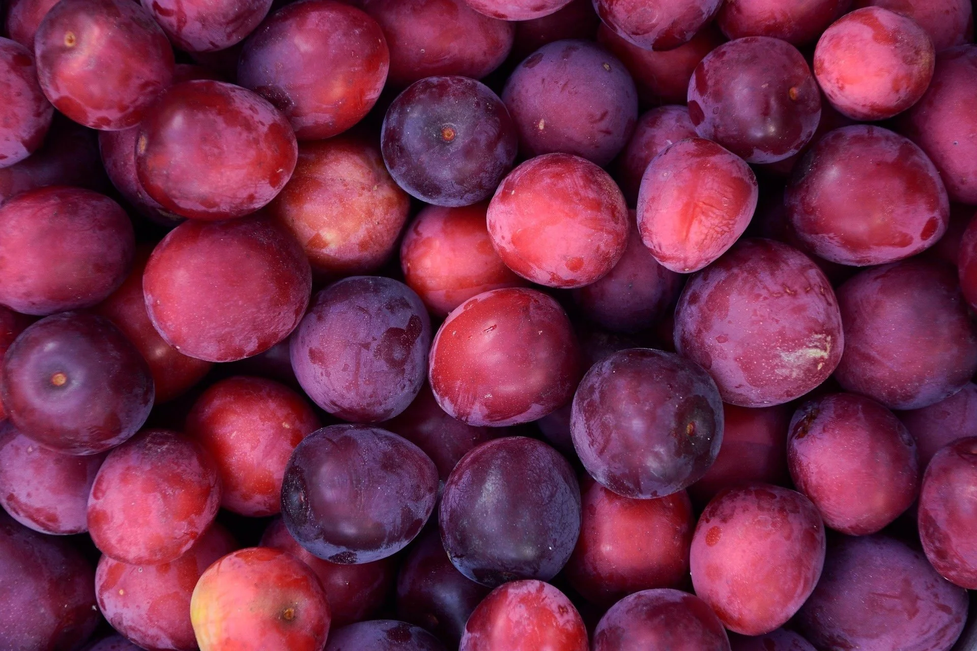 How the Thing That’s Annoyed You for Years May Be What You Need the Most