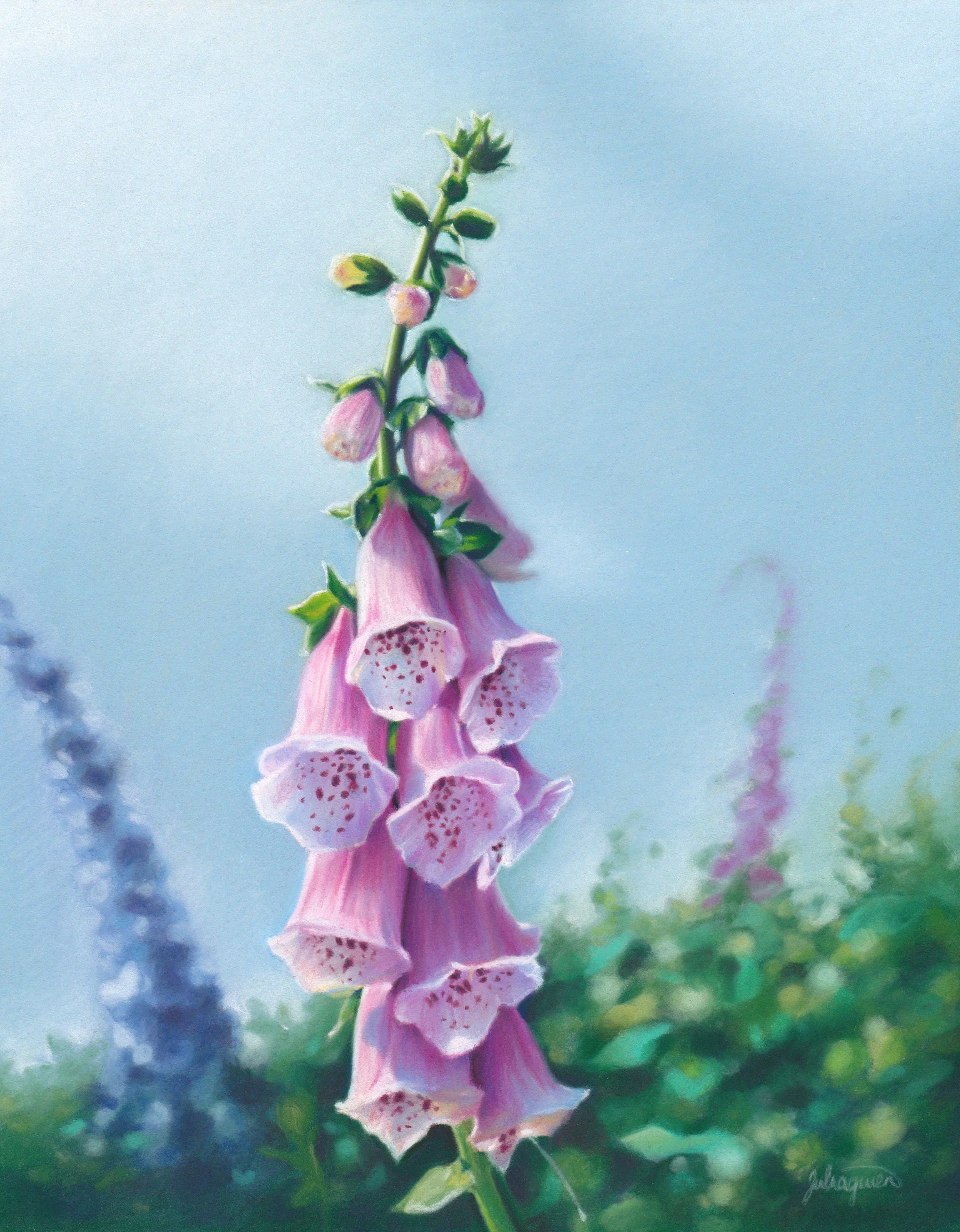 "Foxgloves" 8x10in. Pastels (2023)