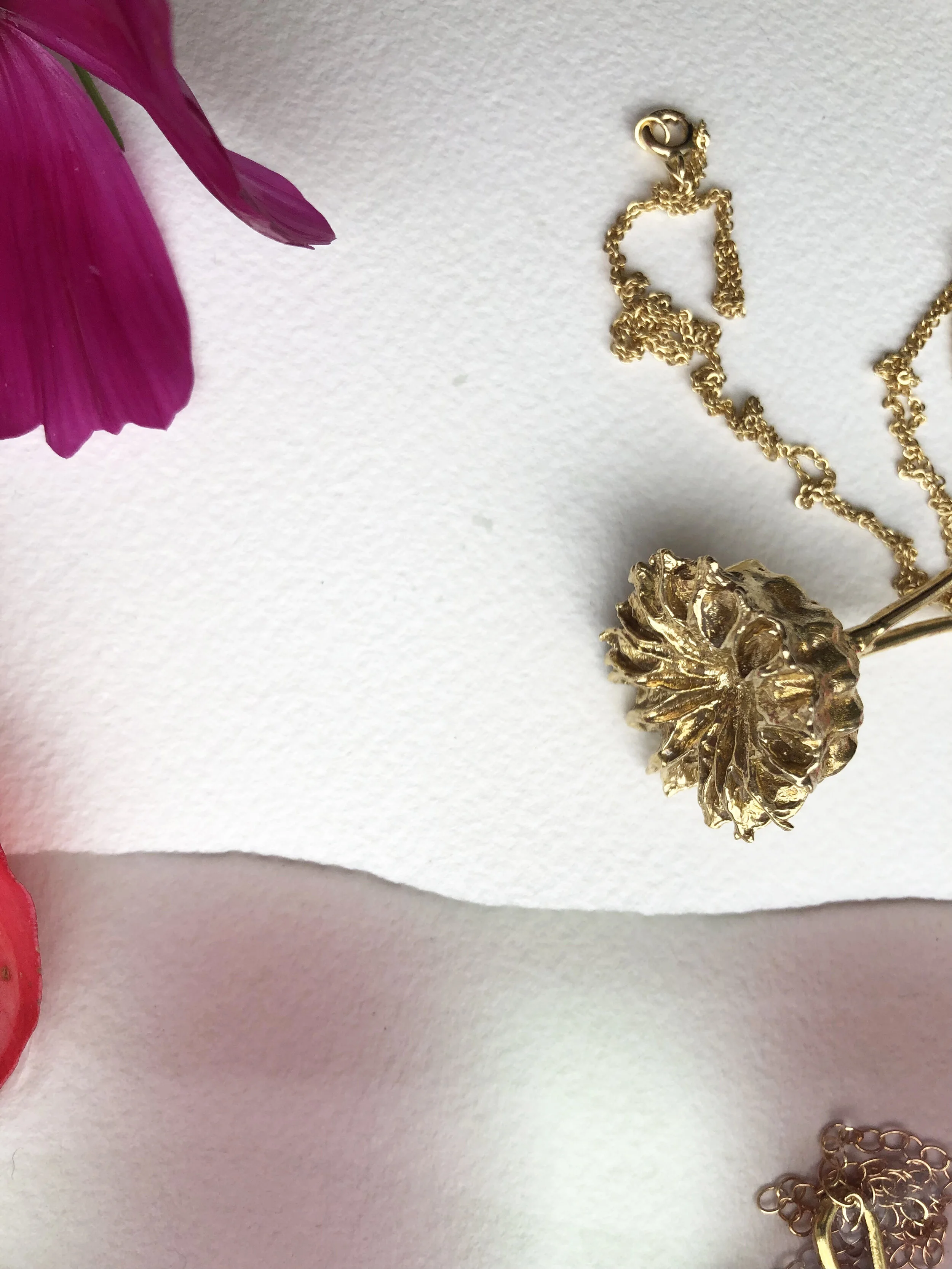 seed_pendant_velvetleaf.jpg