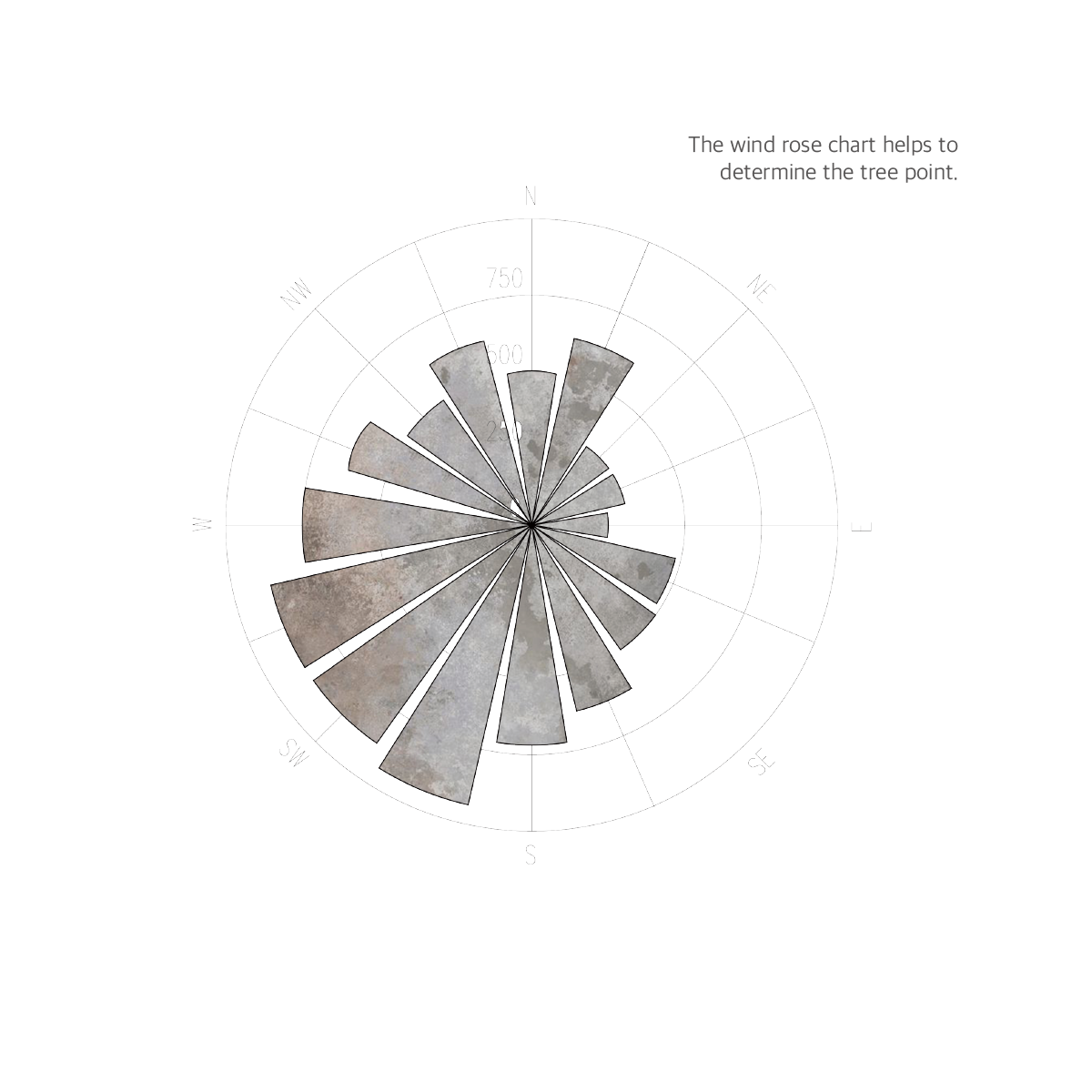 WIND ROSE CHART