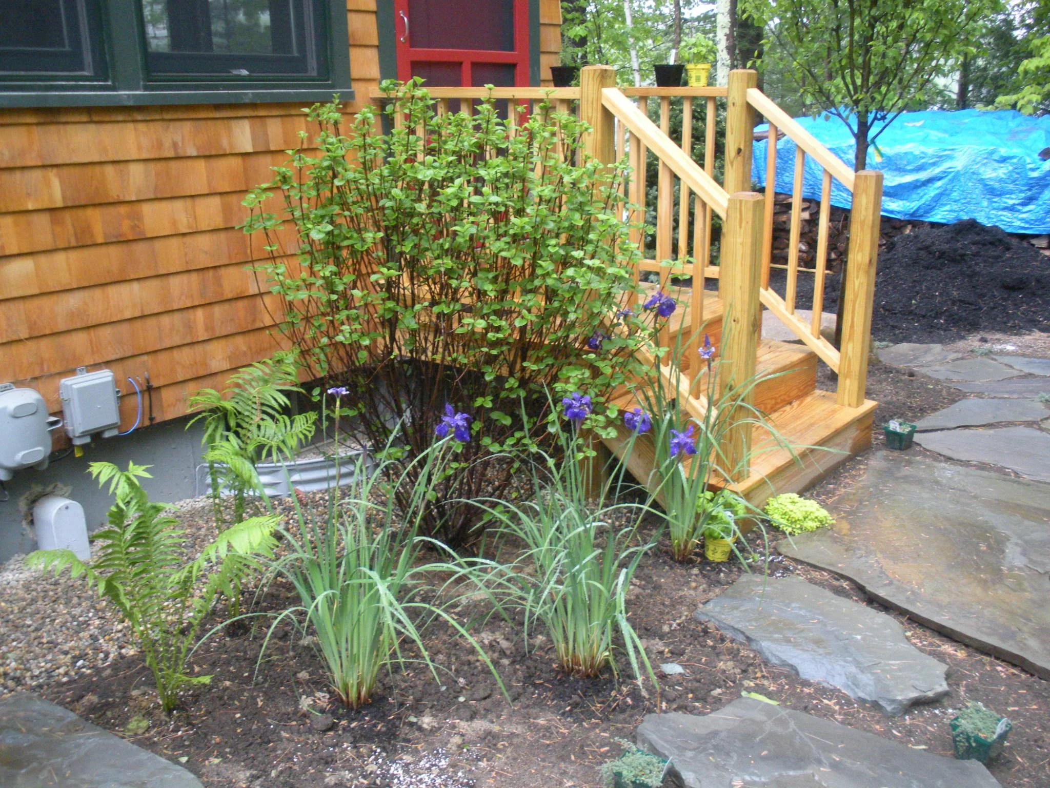 DECK STEPS ENTRY A.jpg