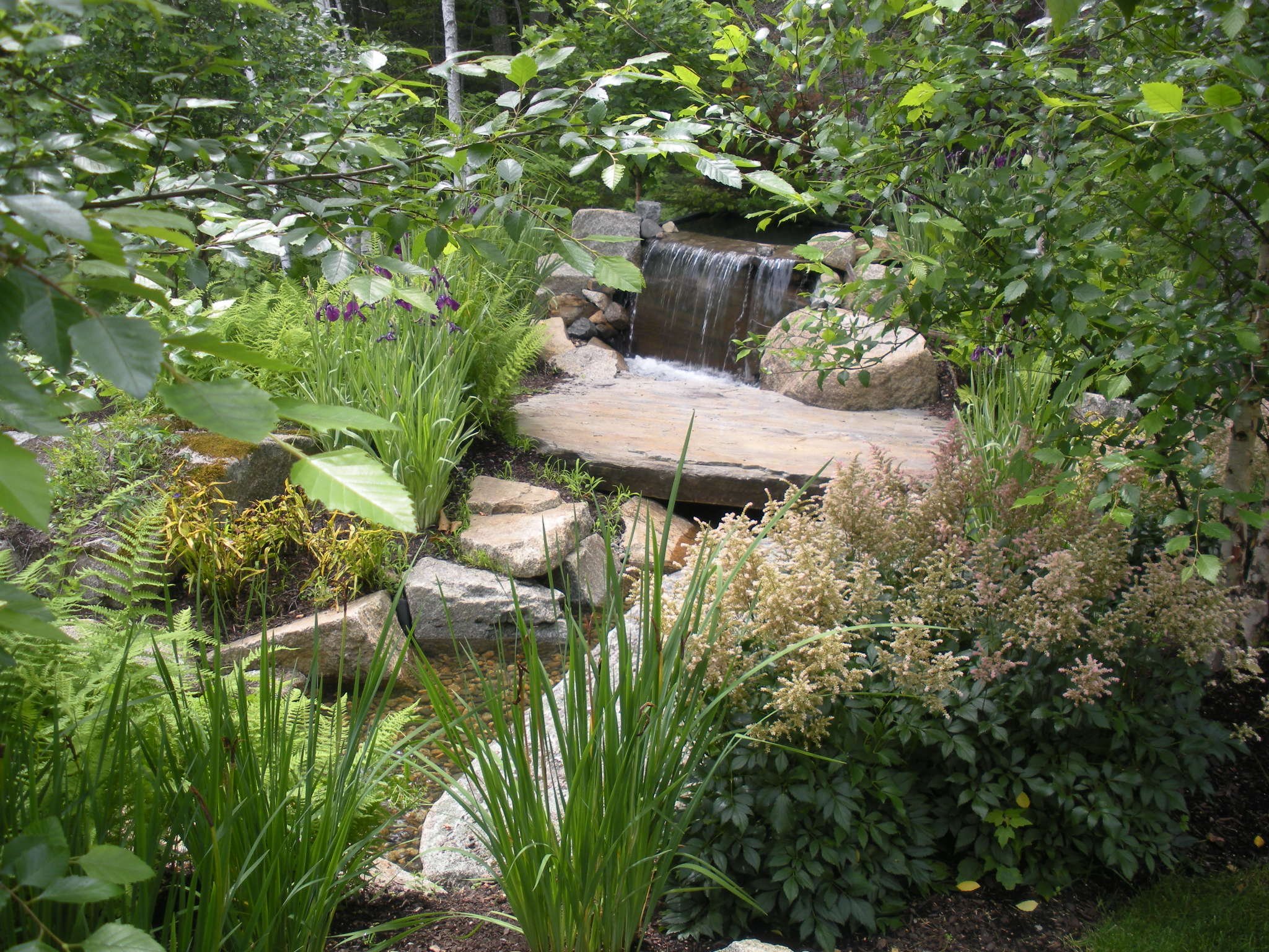 WATER FEATURE B2.jpg