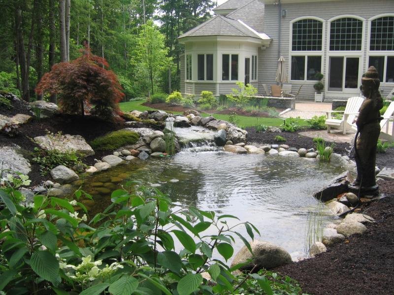 POND B.jpg