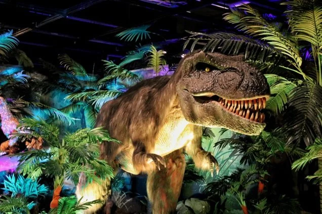 JCC, The Great Dinosaur Rush: Academy of Natural Sciences