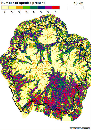 Habitat suitability modelling and predictive maps for bats and wading birds