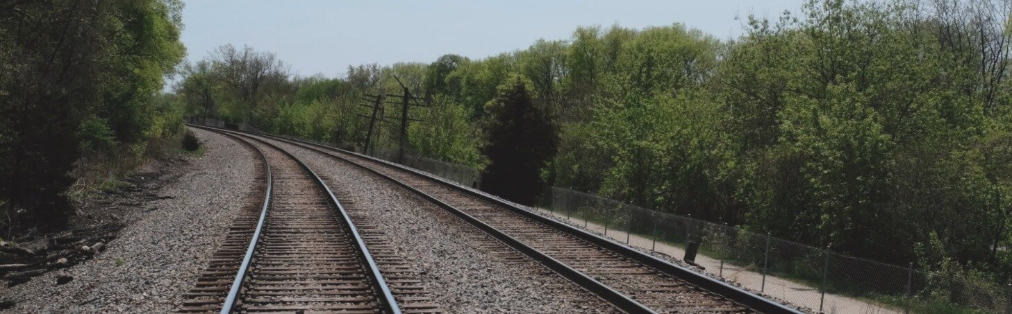 Expert evidence on rare bats for High Speed Rail 2 (HS2)