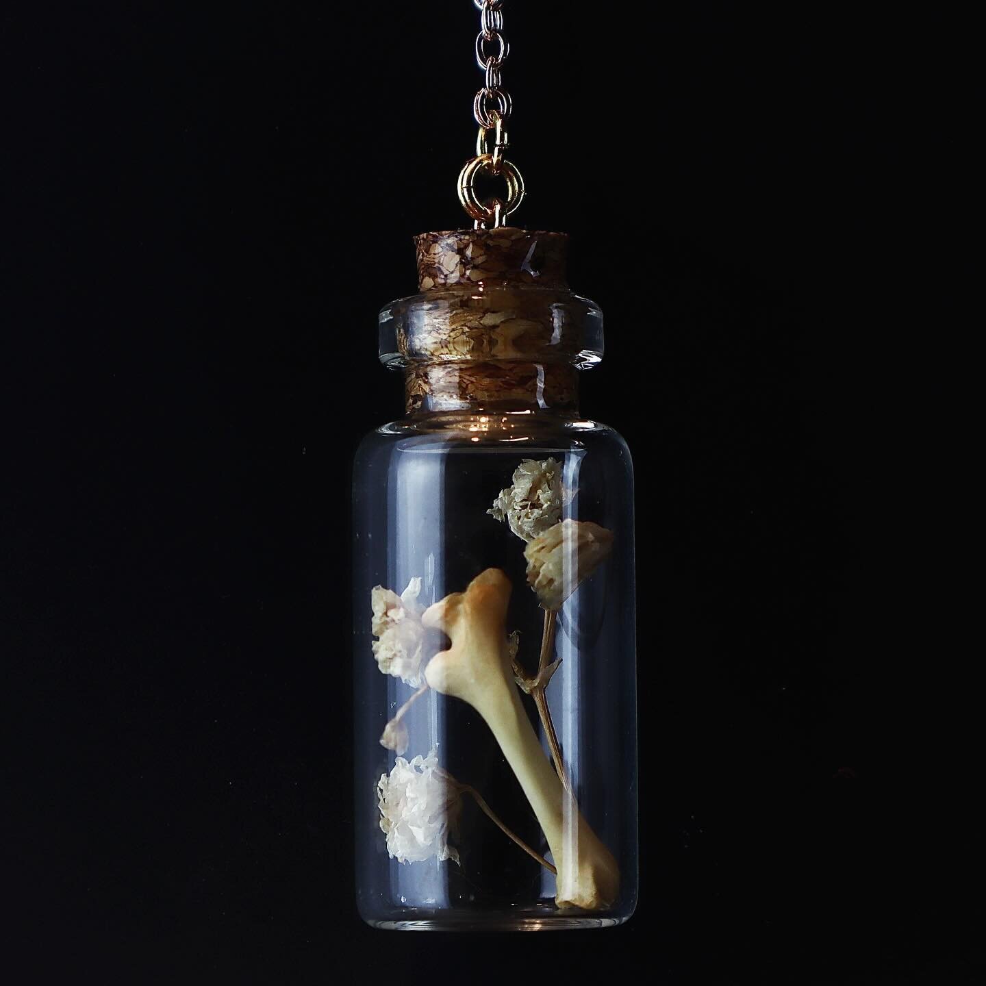 mouse femur and baby&rsquo;s breath necklaces available on my website. All bones are ethically sourced from owl pellets.