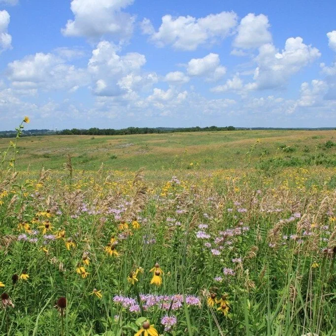 prairie4.jpg