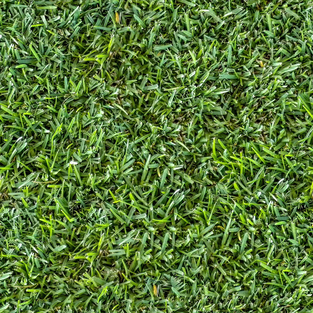 152_green grass texture-seamless.jpg