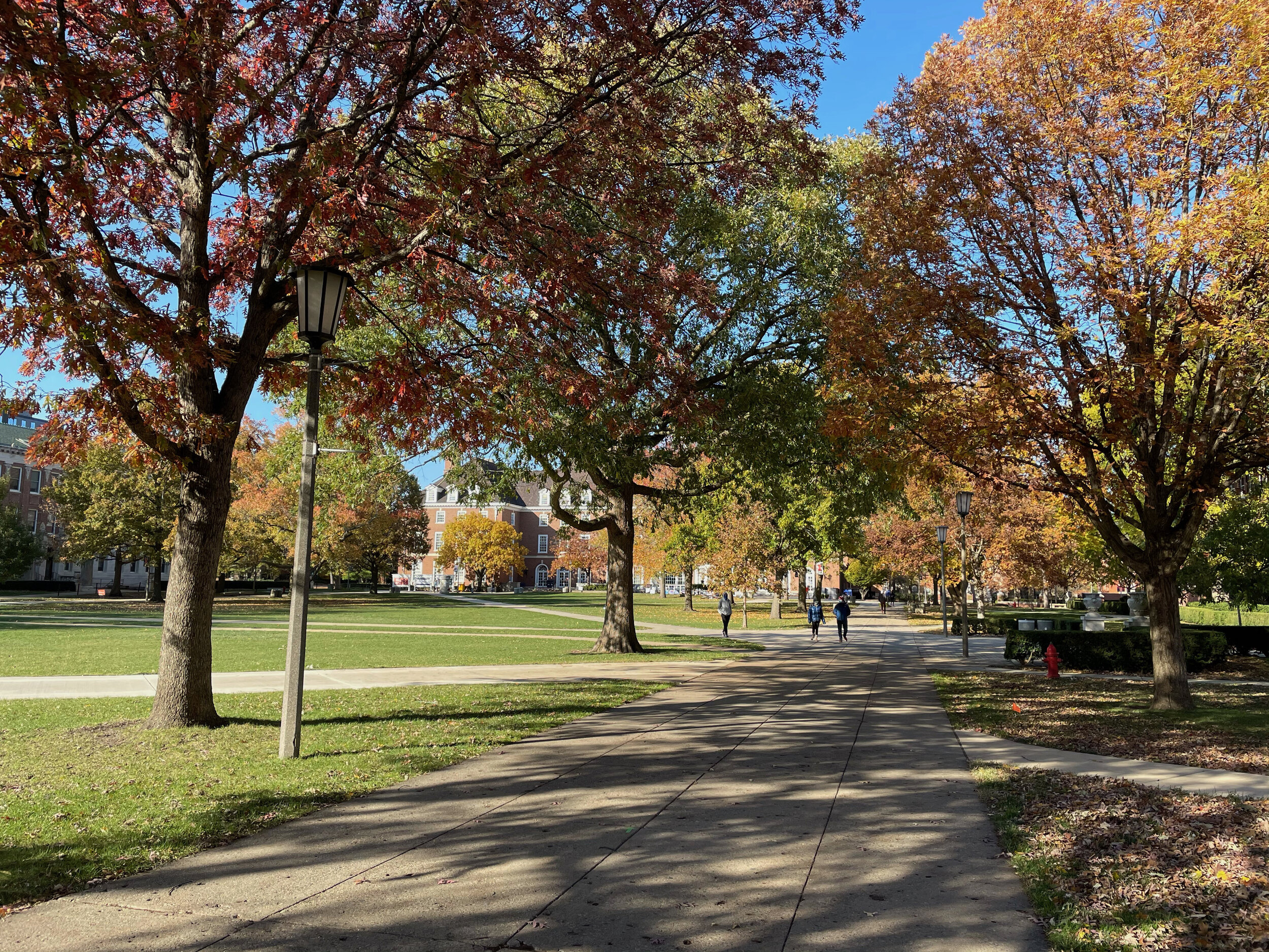11/1/2020 2:07:15pm -
The quad is in the sun. The sidewalks are shadowed and textured by the trees which line the sidewalk. The trees are a variety of amber, yellow, green, red, and brown. As people walk and run down the sidewalk they come in and ou