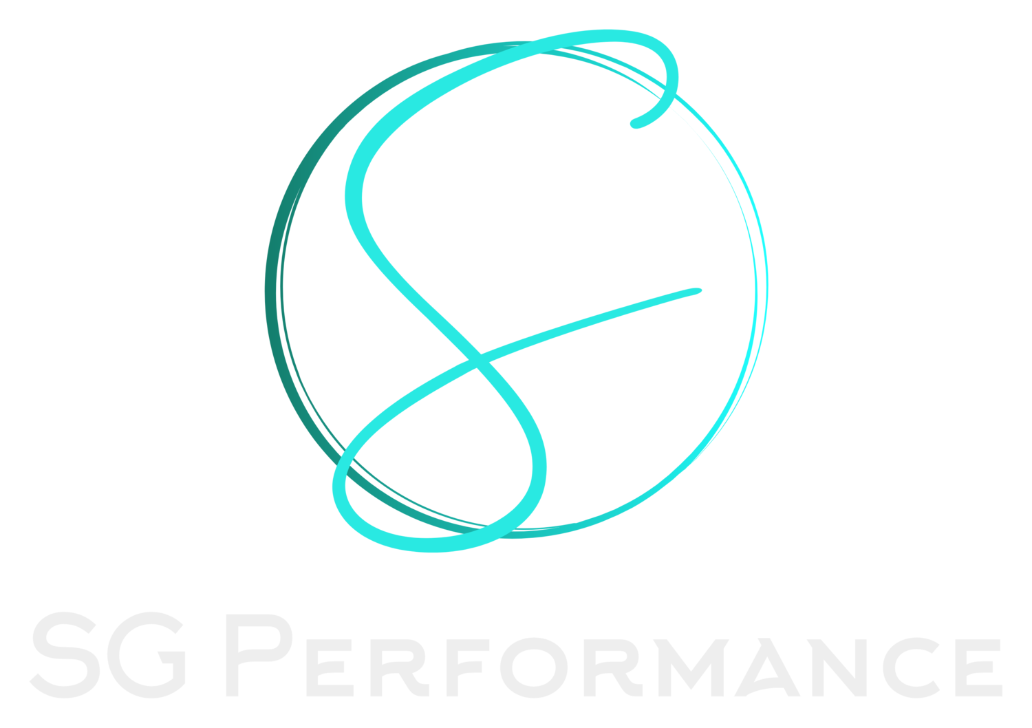 SG Performance LLC