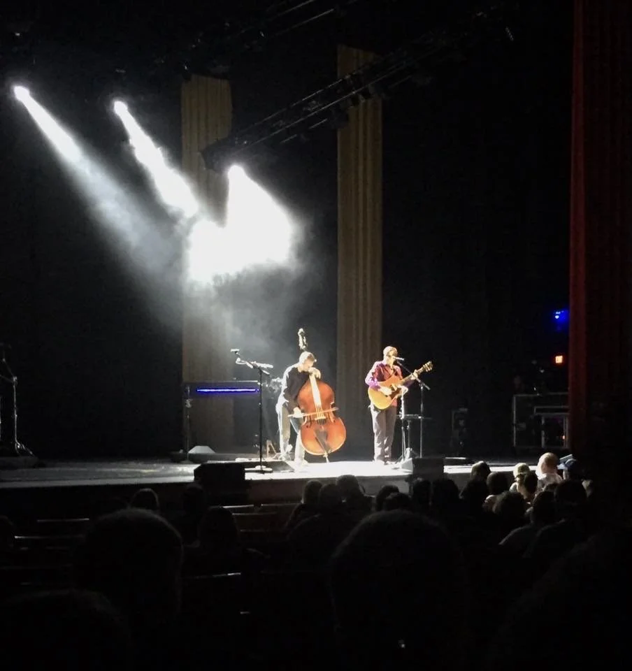 LIVE5 Lemon Sparks DPAC crowd.jpg