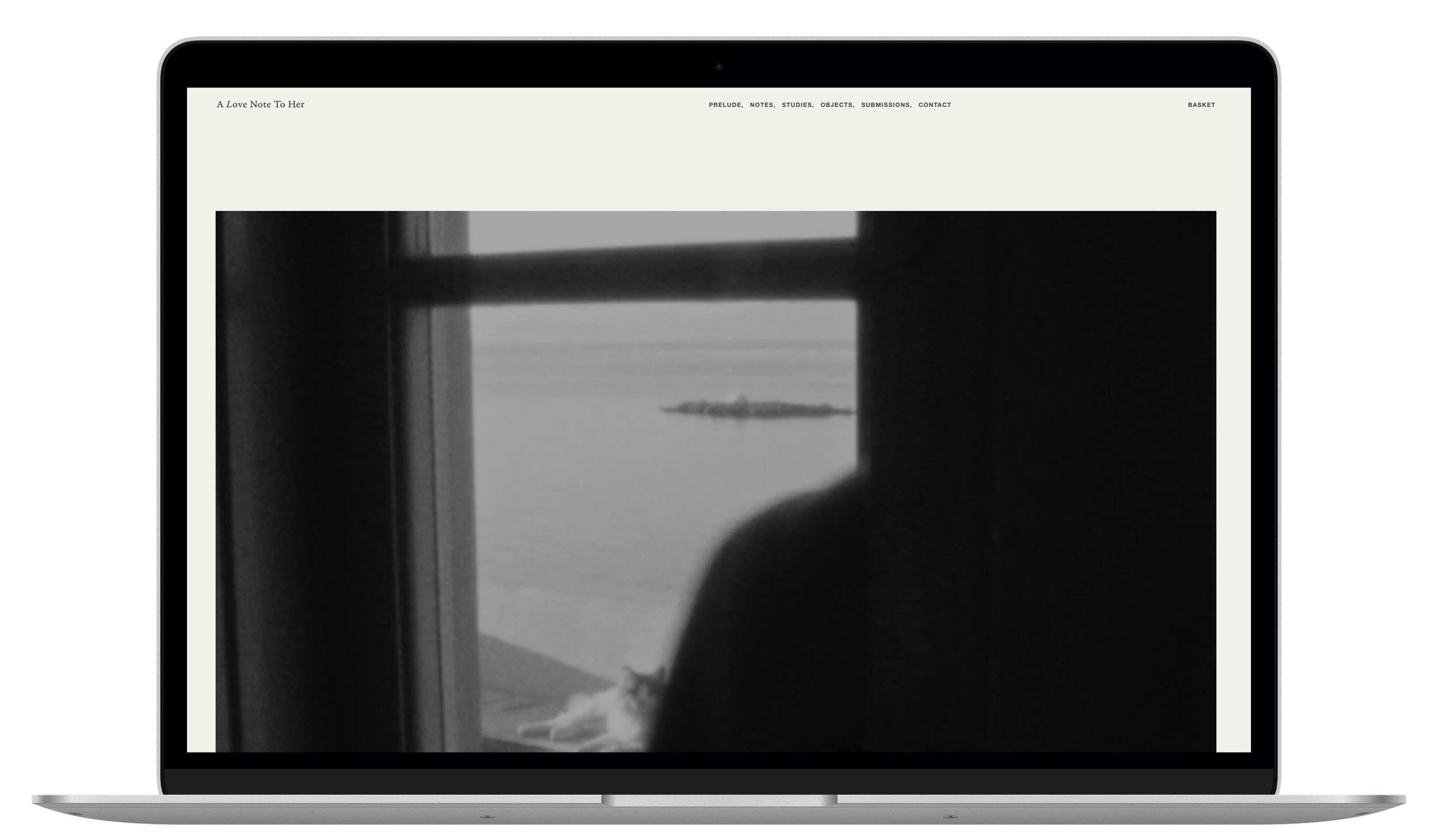 Computer mockup with a still of a black and white video that's looking out of a window onto a lake.