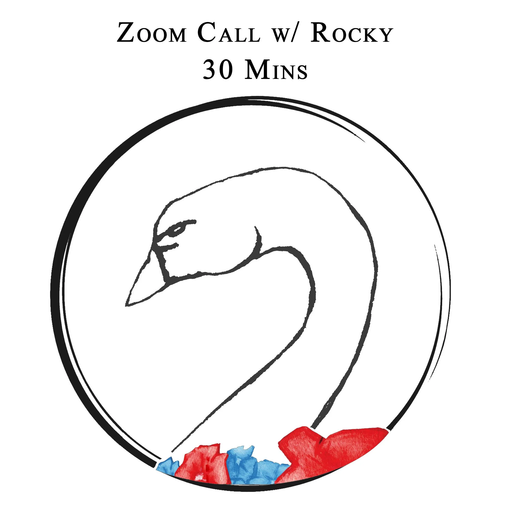 Zoom 30 Mins.jpg