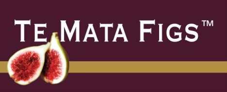TMF logo.jpg