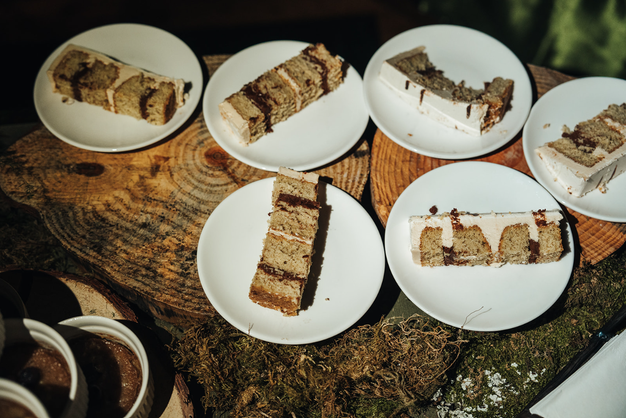 Cake Slices_102024_JulianneBrasher.png