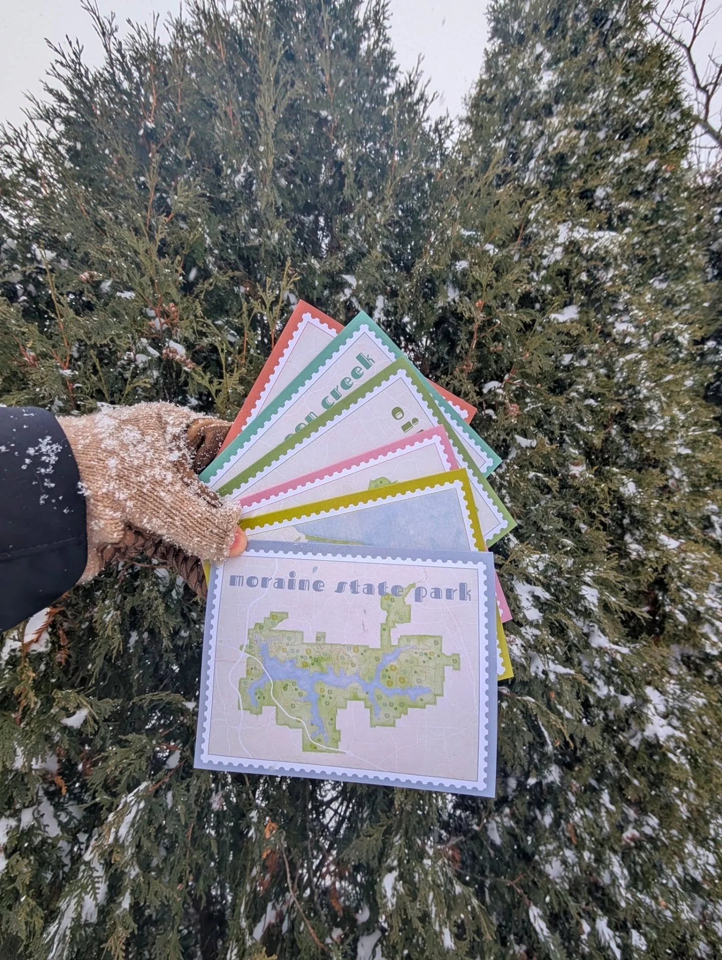 New map collection drop!! These bright watercolor greeting cards have me dreaming of warmer weather... 🌈

You can get these (in singles or the whole dang set!) NEXT SATURDAY, January 31, during Winterfest at Moraine State Park! ❄️