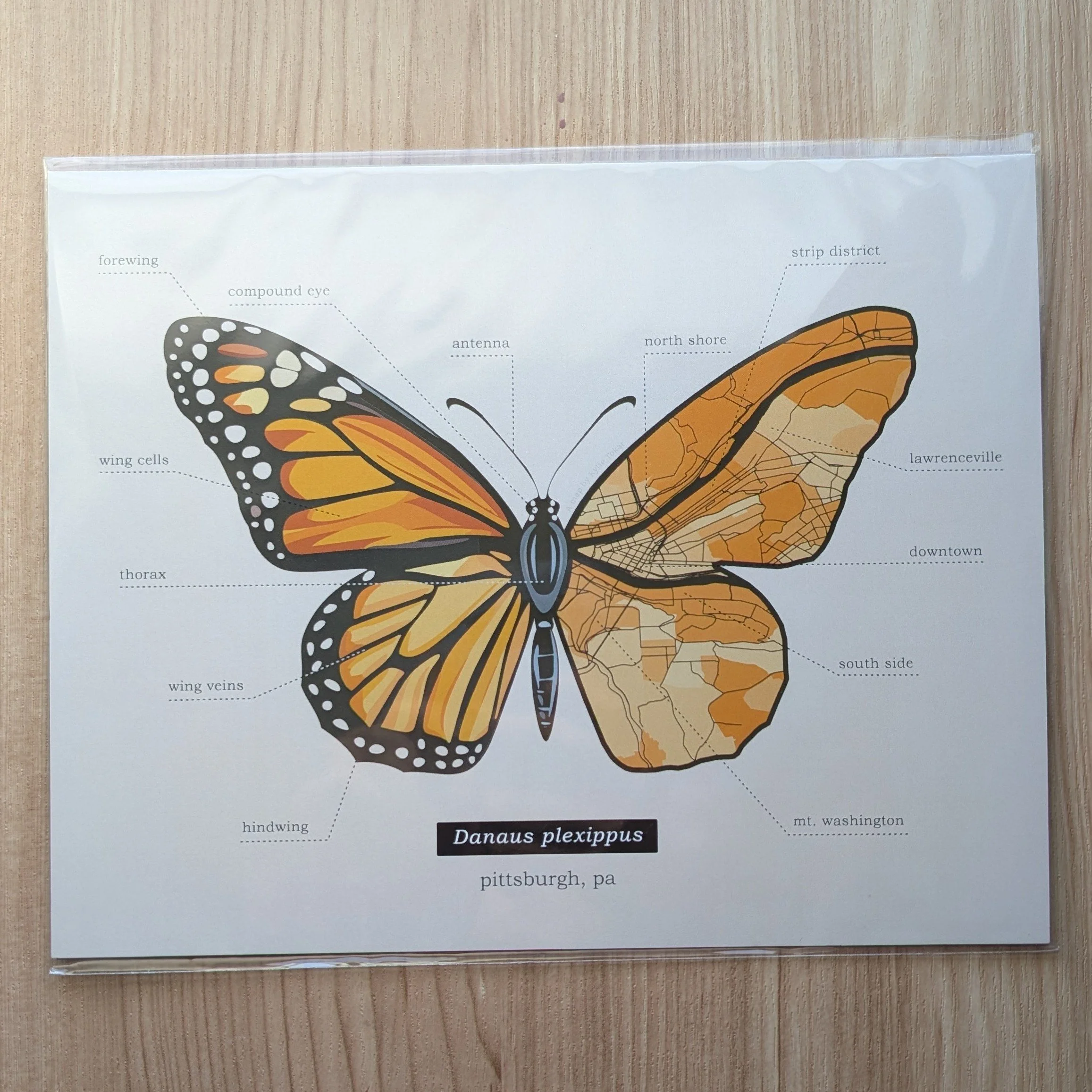 Prints (Butterfly A) - 11x14