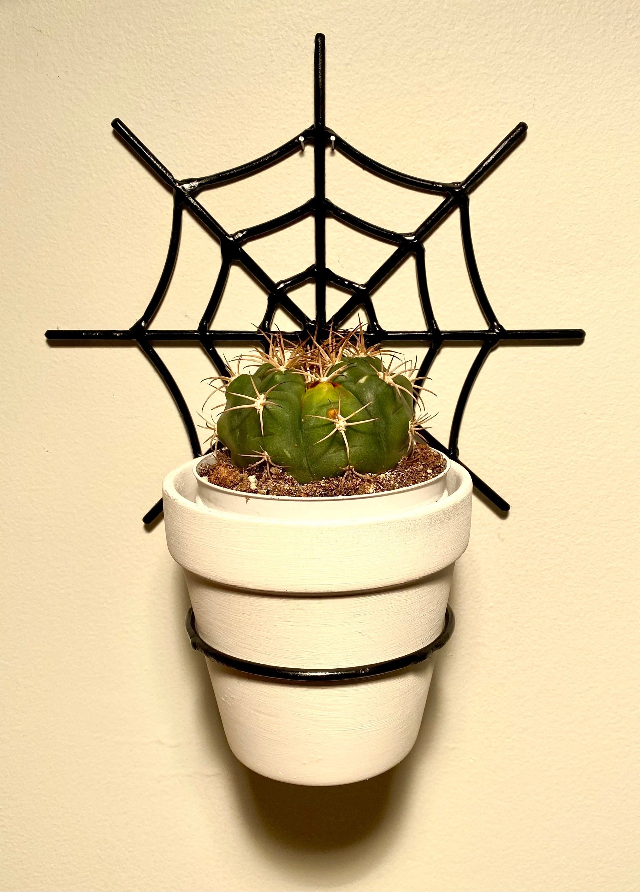 https://i.etsystatic.com/31389662/r/il/634d00/3476609869/il_fullxfull.3476609869_3ees.jpg