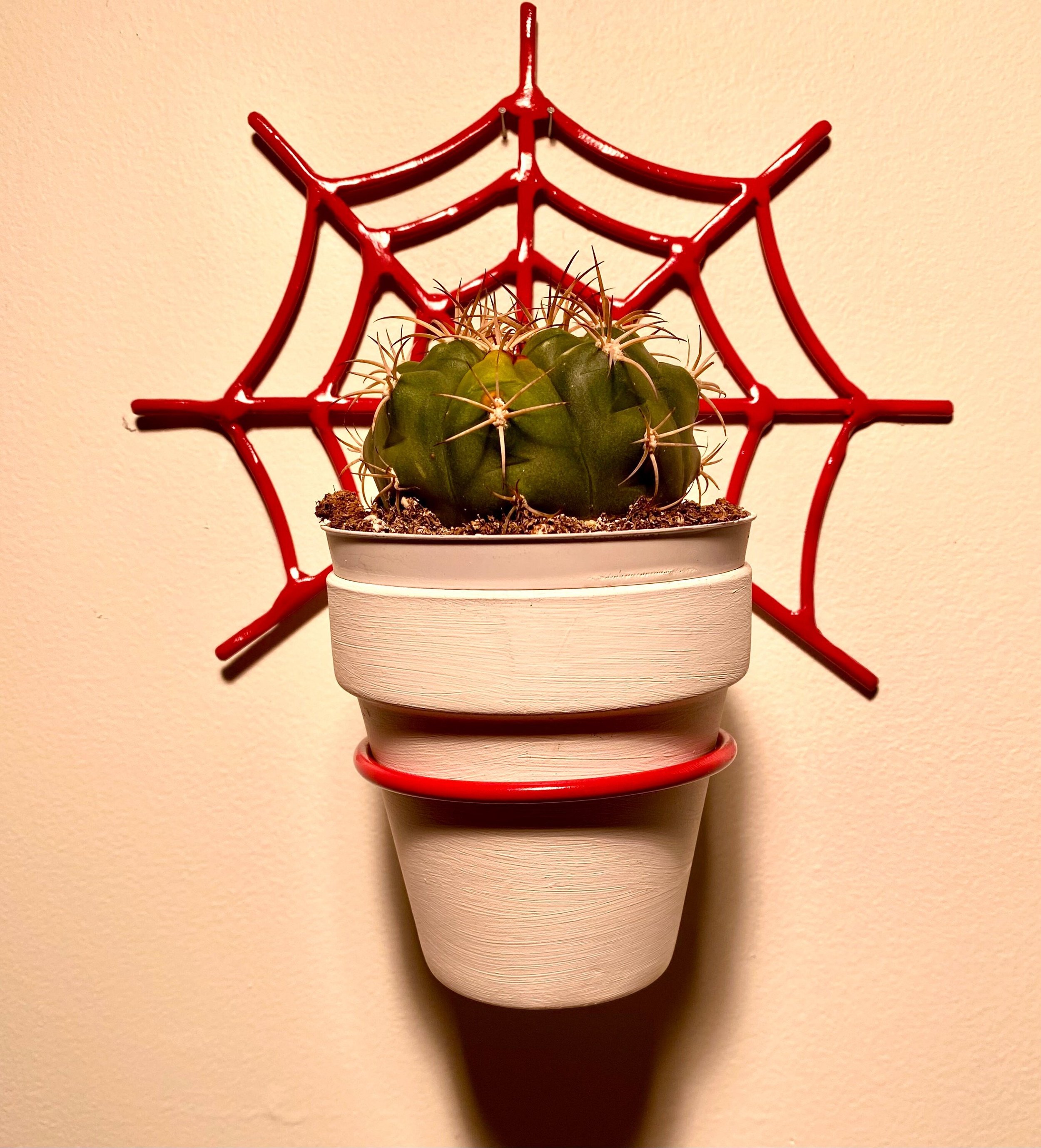 https://i.etsystatic.com/31389662/r/il/03f7ef/3428900244/il_fullxfull.3428900244_3bja.jpg