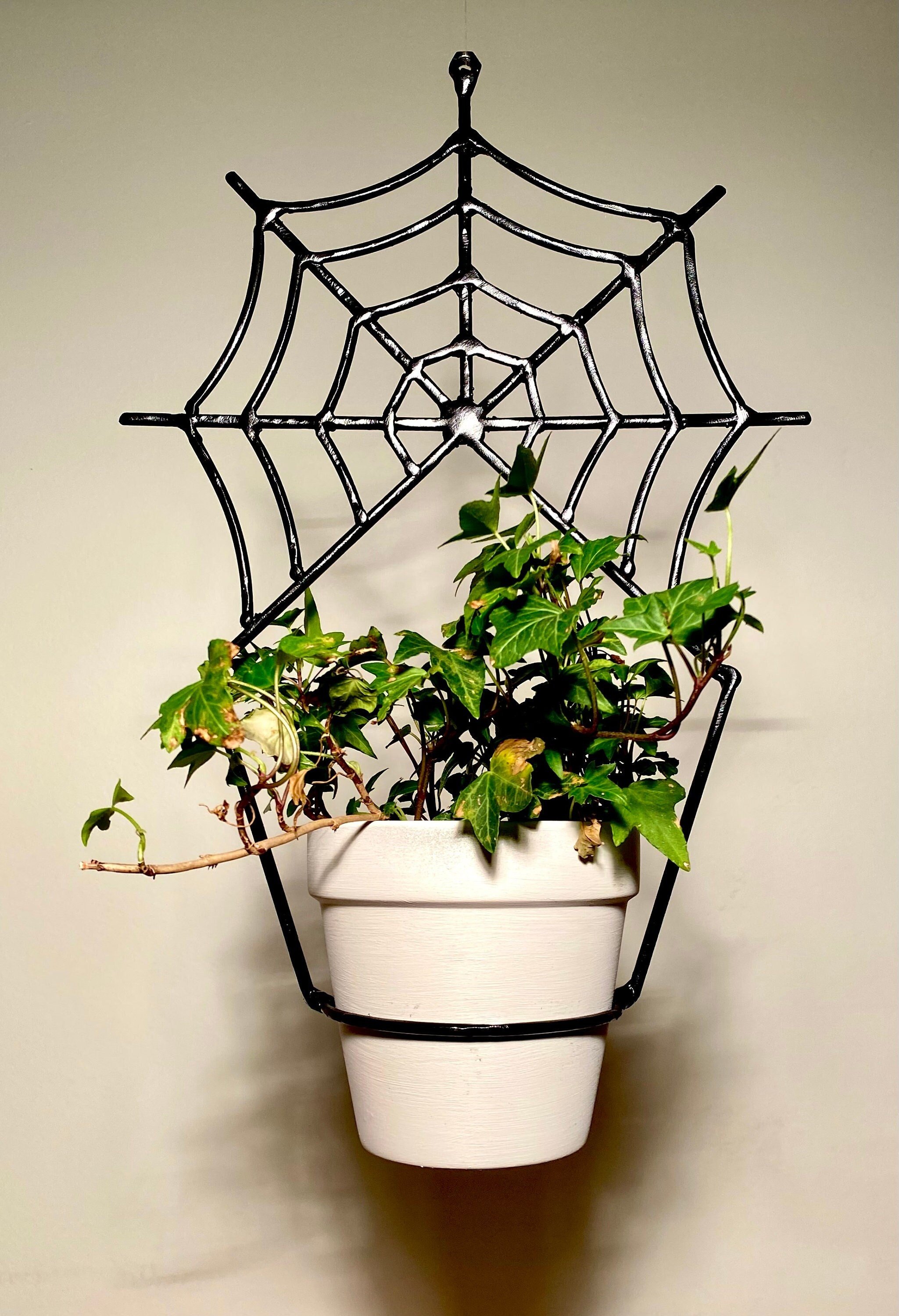 https://i.etsystatic.com/31389662/r/il/0a0713/3417180660/il_fullxfull.3417180660_qvnt.jpg