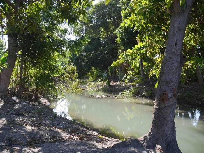 River in Môle-Saint-Nicolas