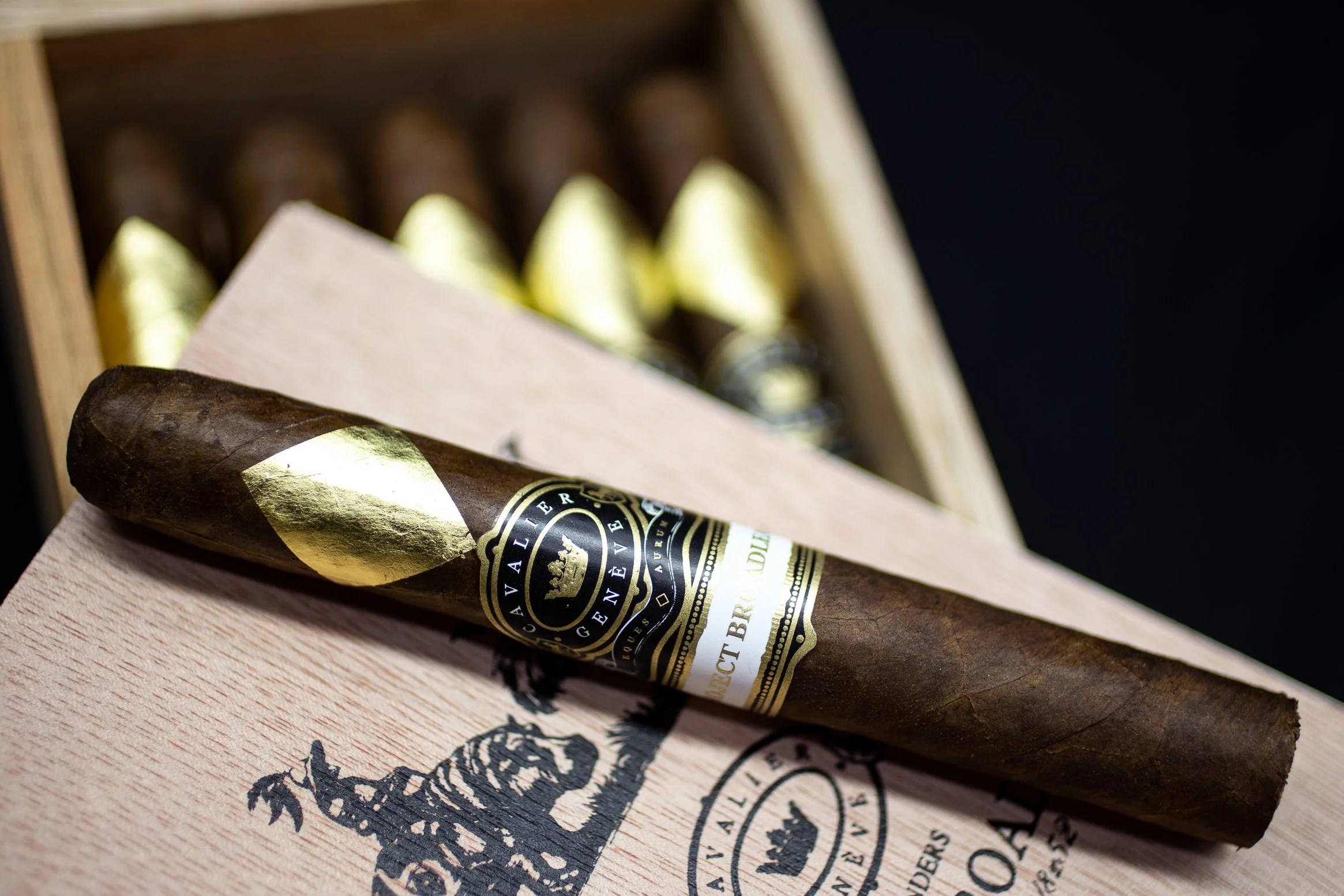 Wayfinders Rob Extra.jpg