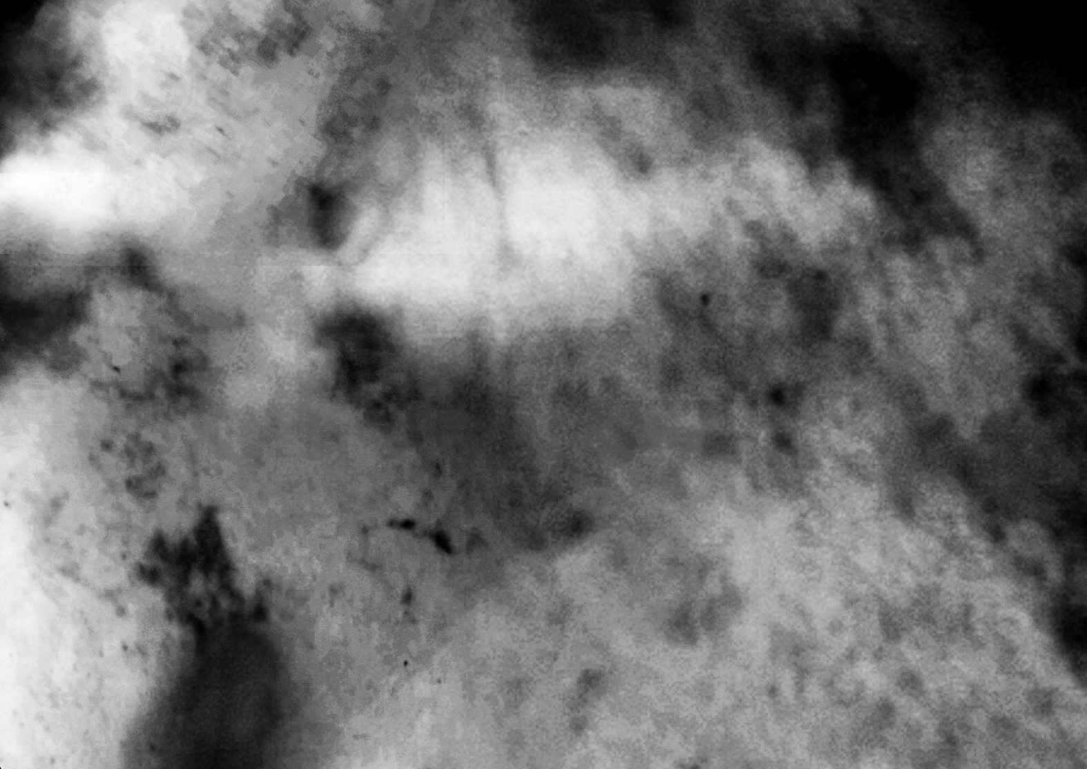 Screenshot 2026-02-25 at 1.06.49 PM.png