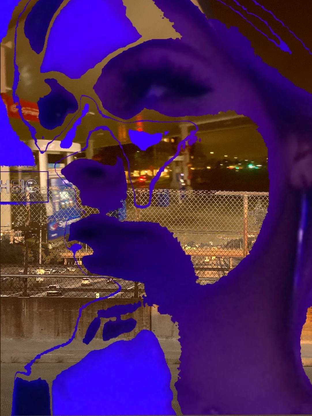 Screen Shot 2022-09-14 at 2.22.45 PM(1).jpg