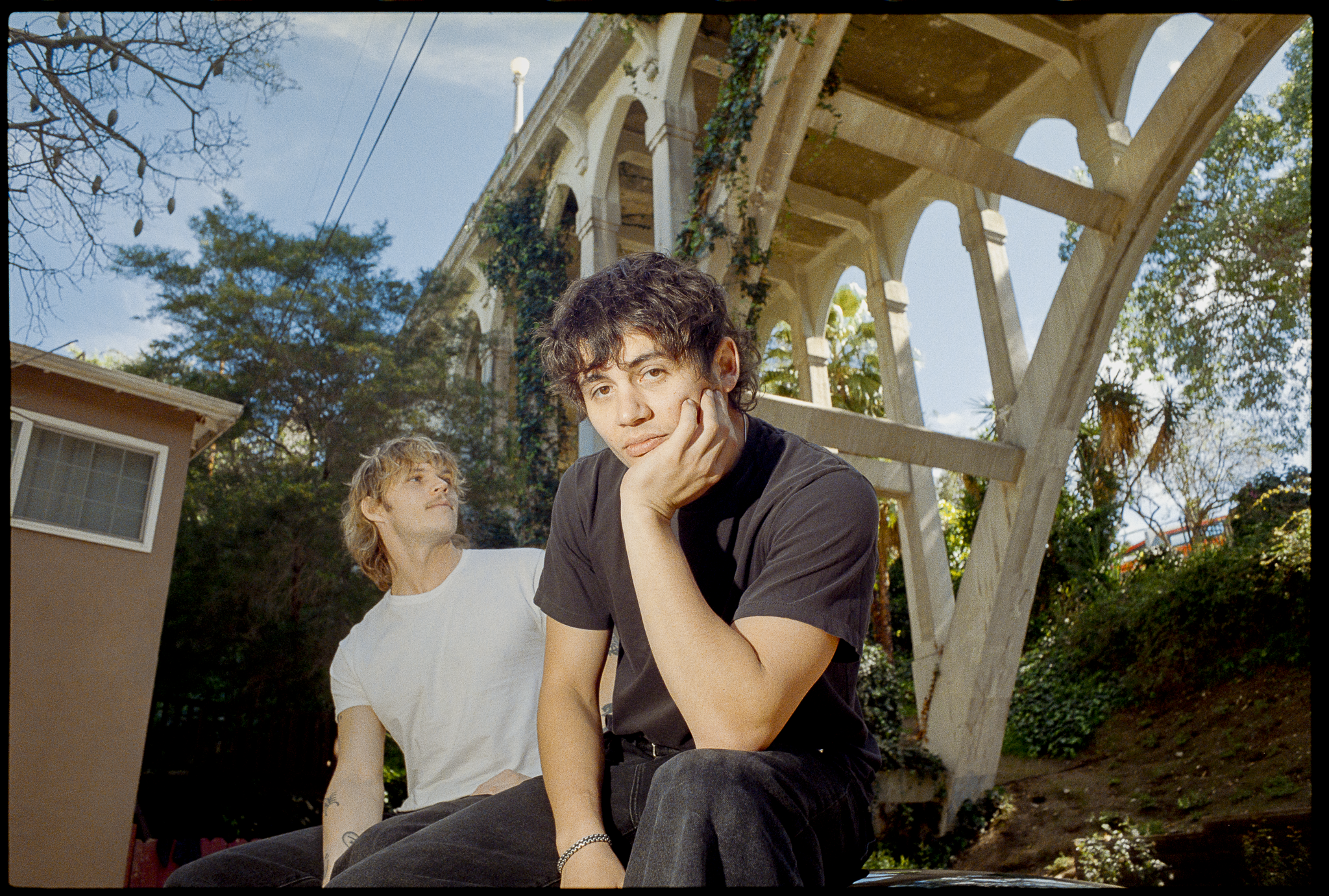 RoseHips-77.png