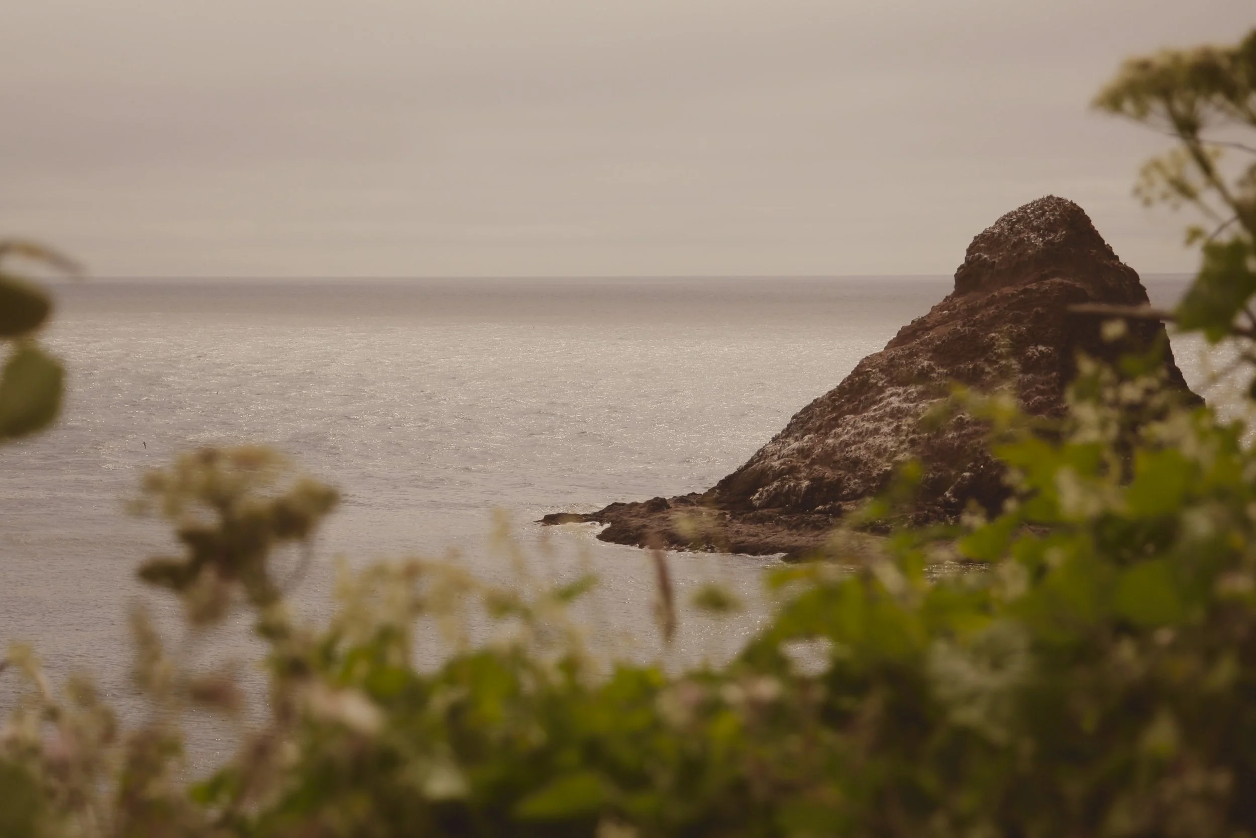 Island