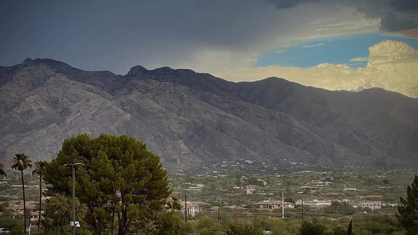 Storm Incoming. #347