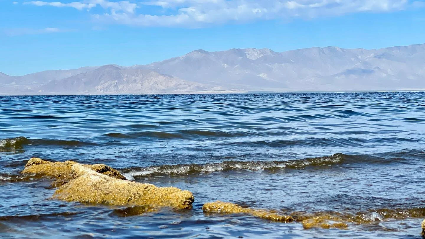 The Salton Sea. #354