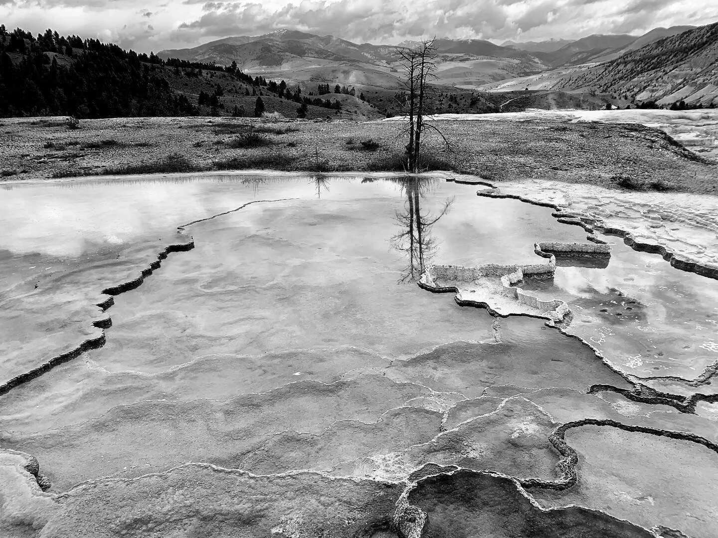 Mammoth Hot Springs. #363