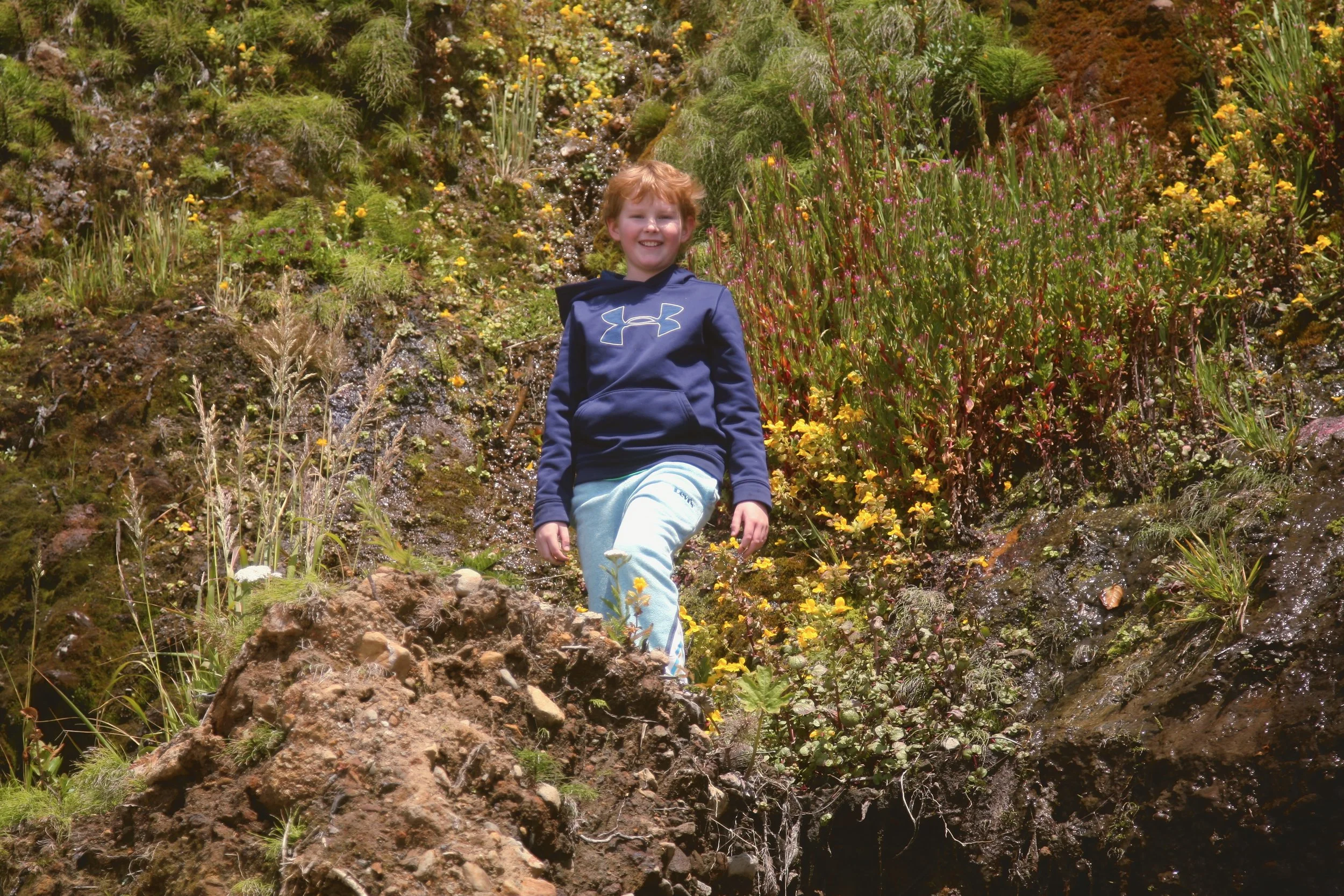 Among The Flowers