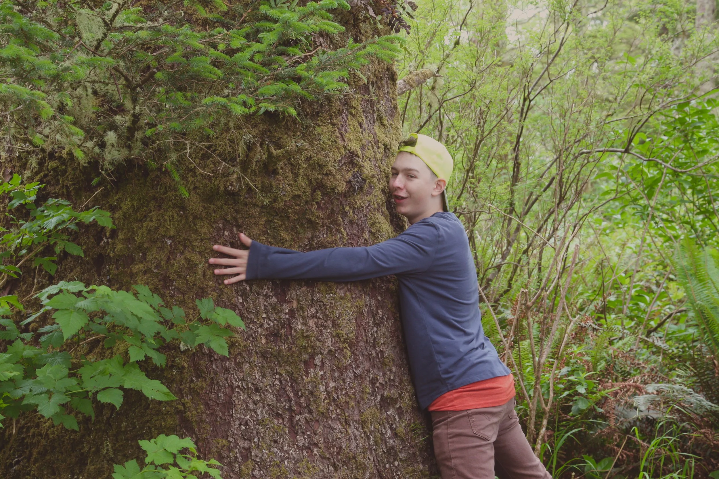 Tree Hugger