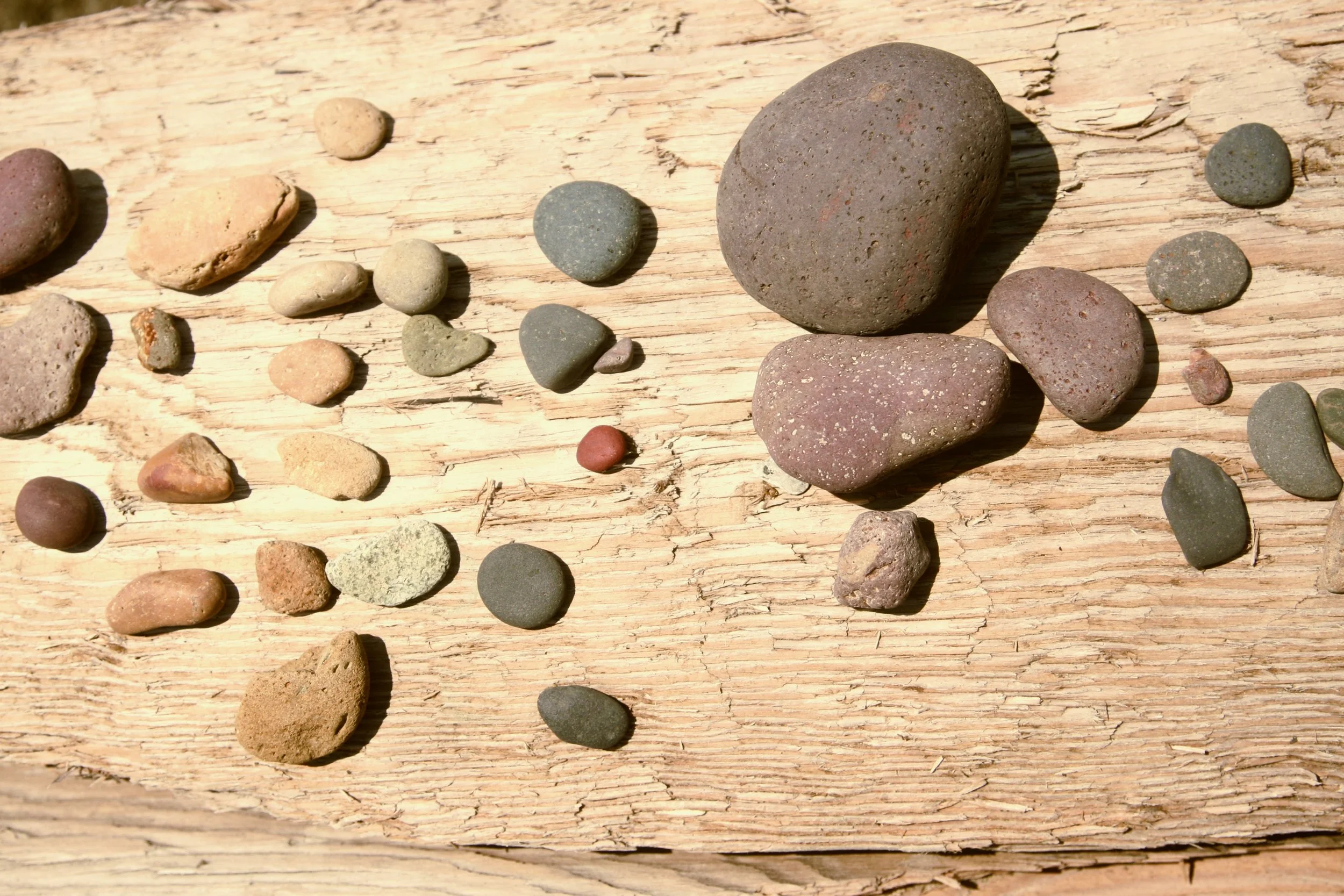 Collection