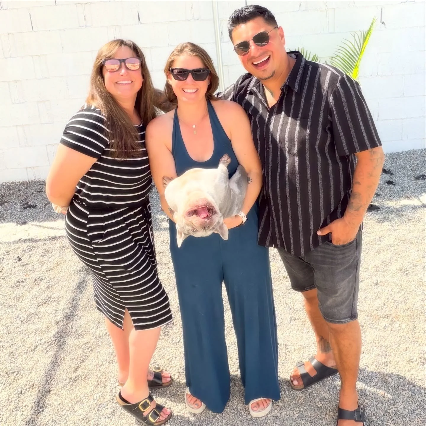 Wishing @_sunshinedogwalking_ (@terbear1721) a very Happy Birthday! 🎂
(Princess being Princess💕)
.
.
.
 #HappyBirthday #dogtrainer #dogwalking #nobullrehab #sunshinedogwalking