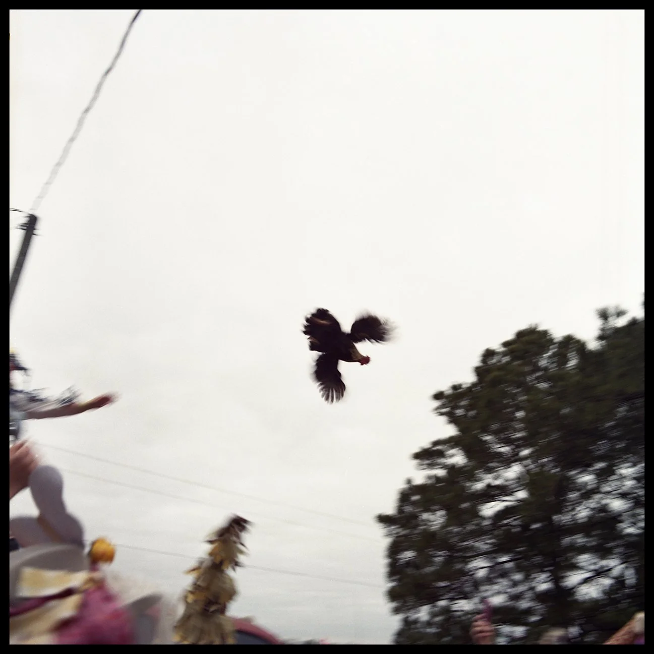 2026-02 H C R03 011.jpg