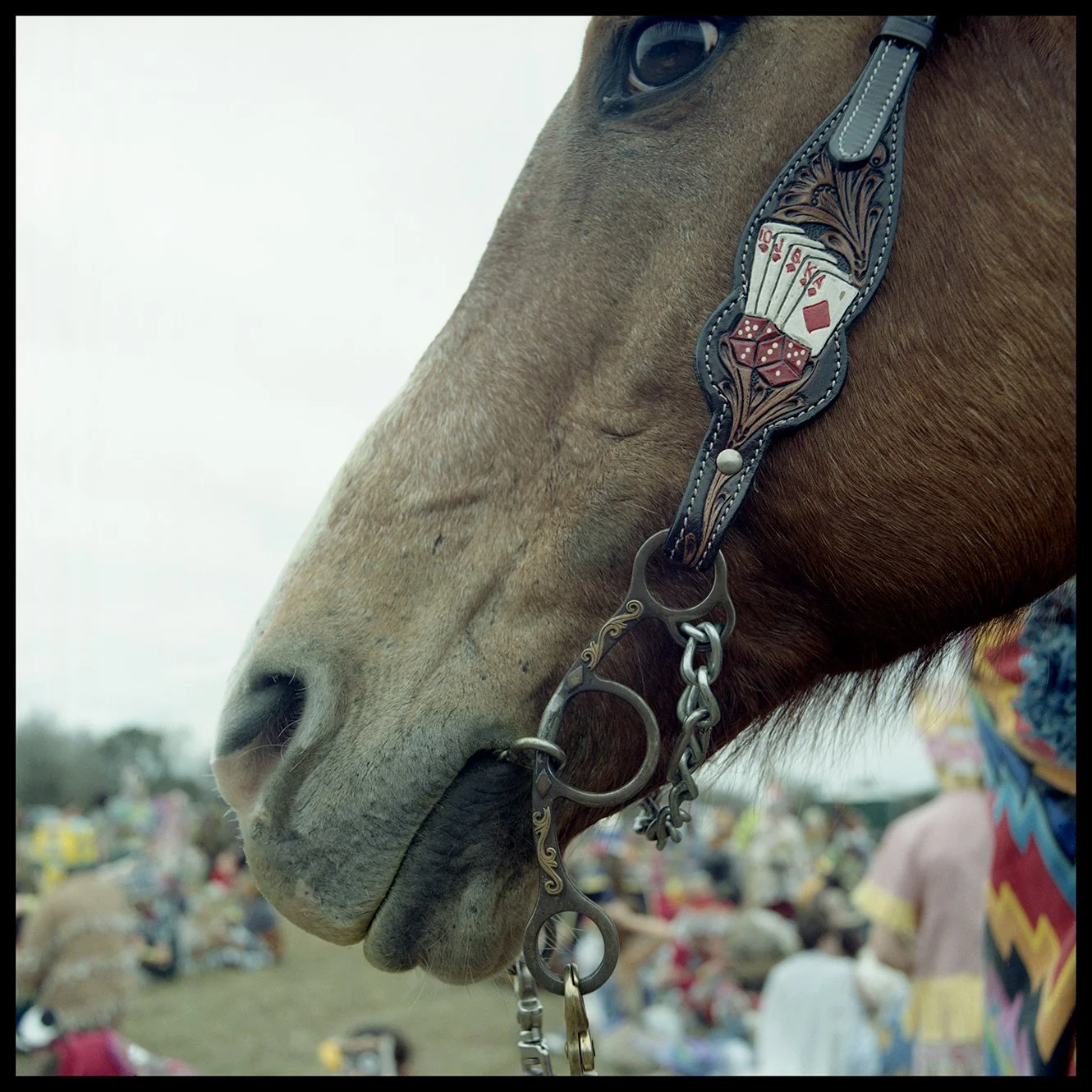 2026-02 H C R08 001.jpg