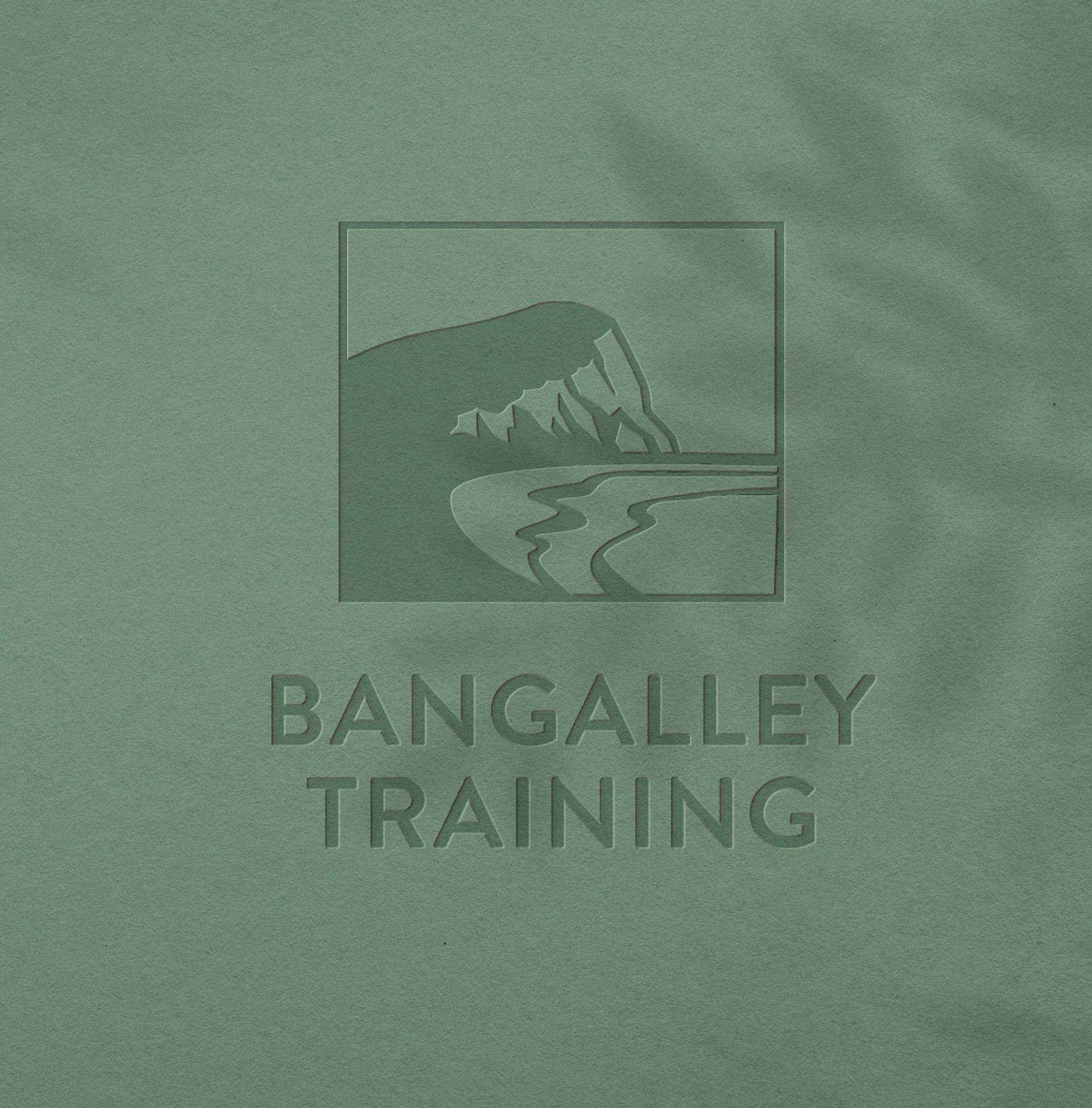 Bangalley Training CPR