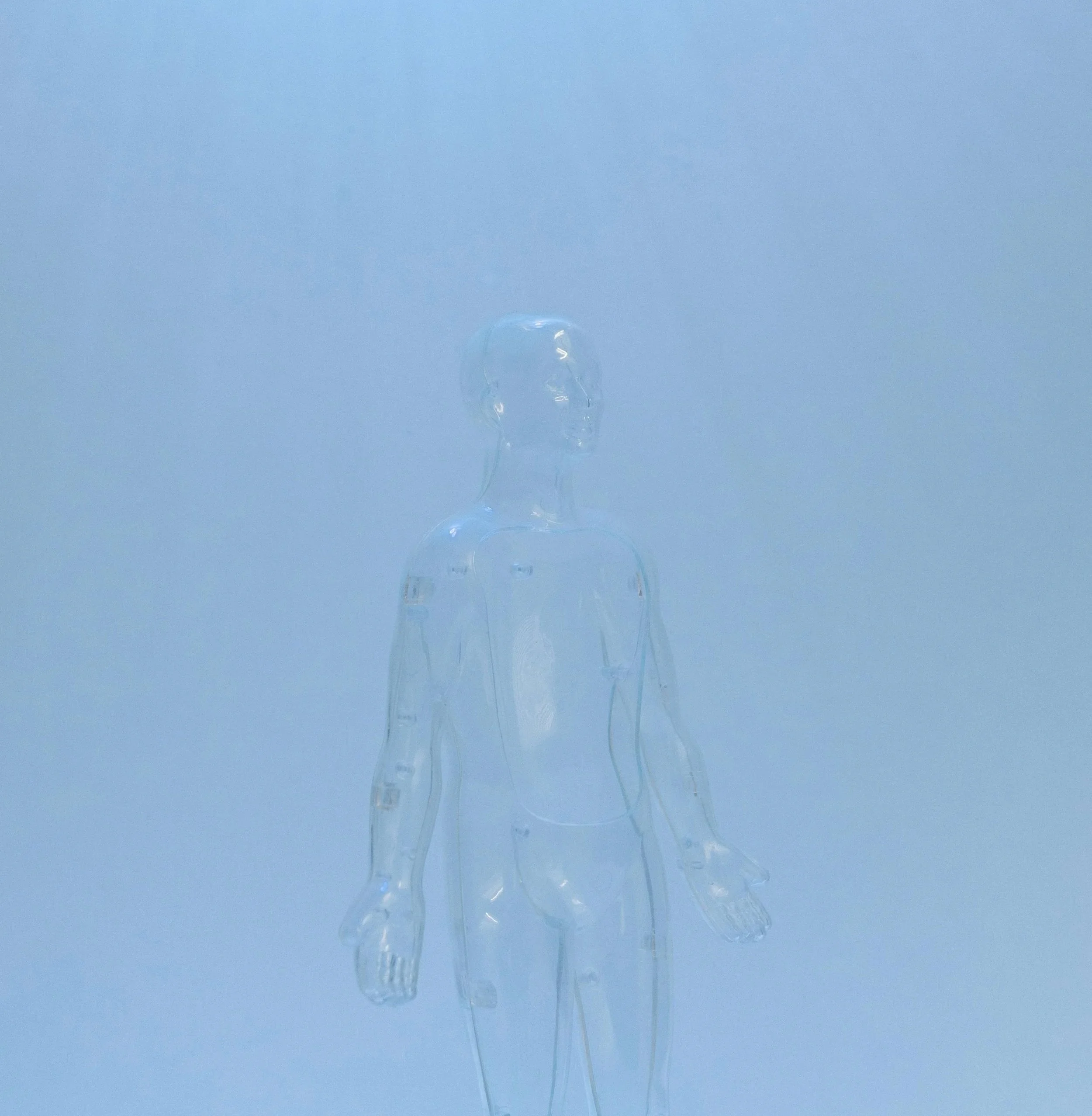 Accountability for Every Survivor: 