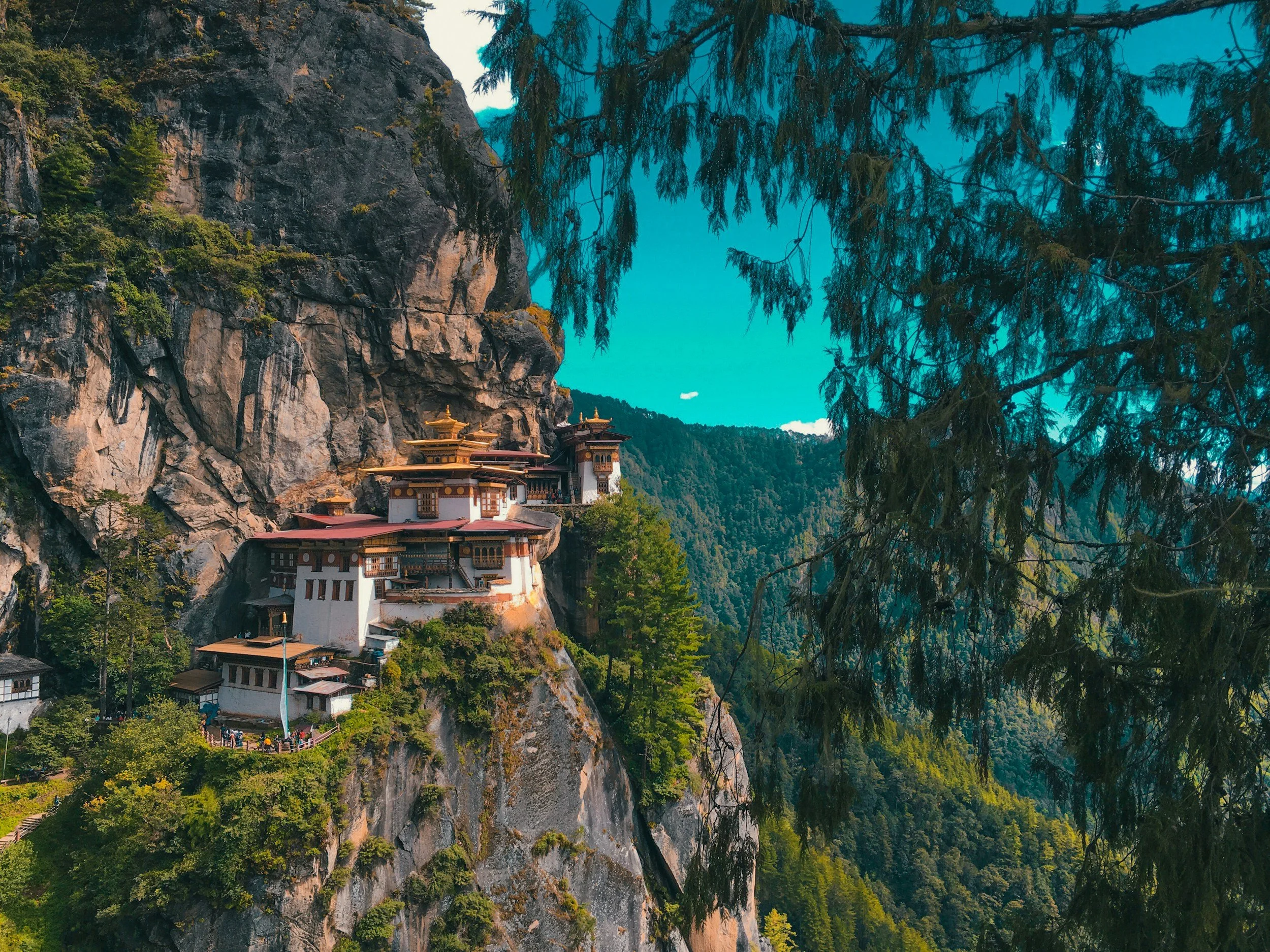 unsplash-image-zhVN71I8888.jpg