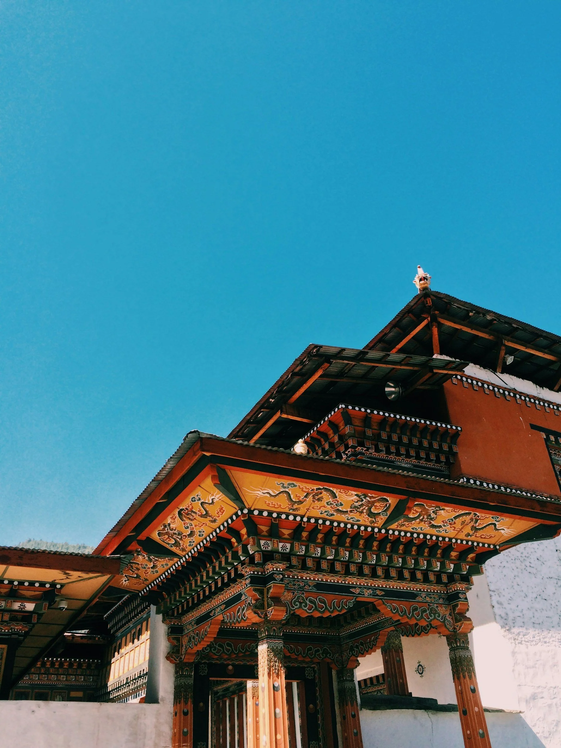 unsplash-image-YyaTyxFOWeM.jpg