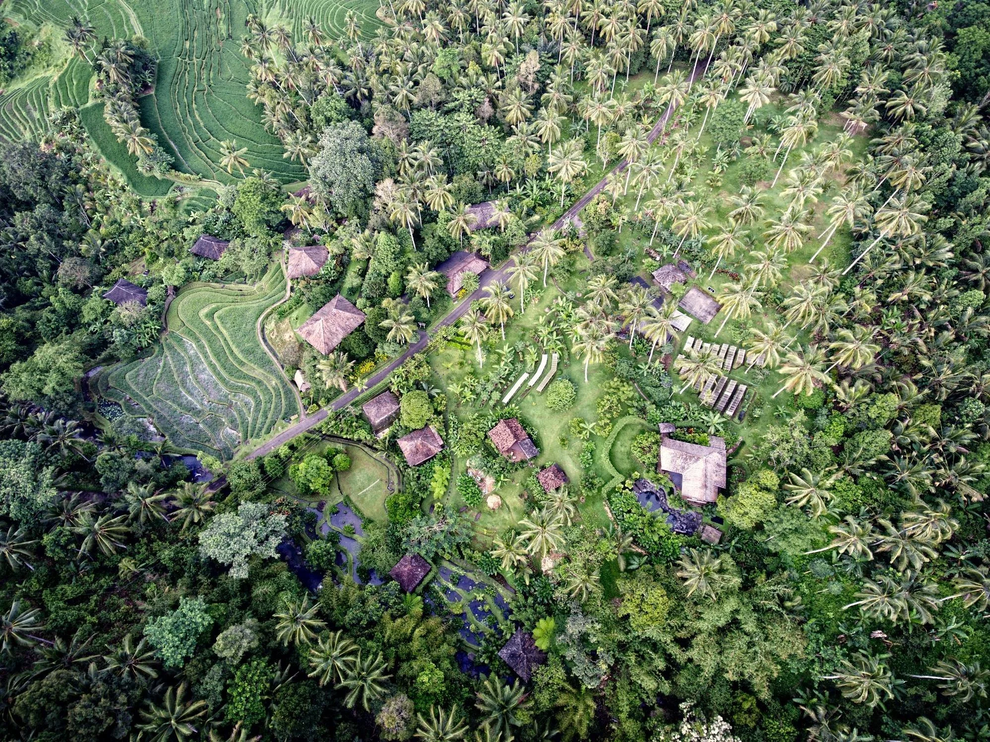 Over-head-view-Bali-Eco_stay.jpg