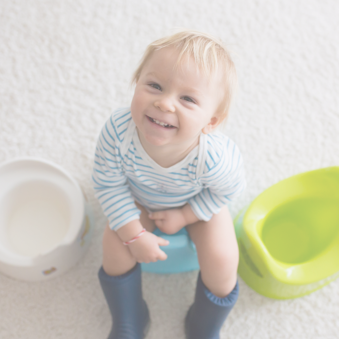 Traveling while Potty Training