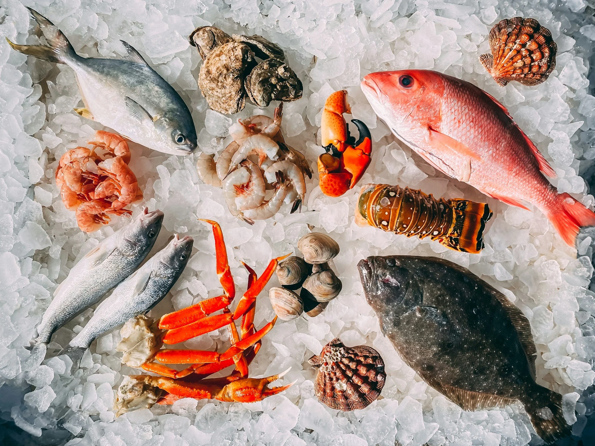 The Mussel Problem