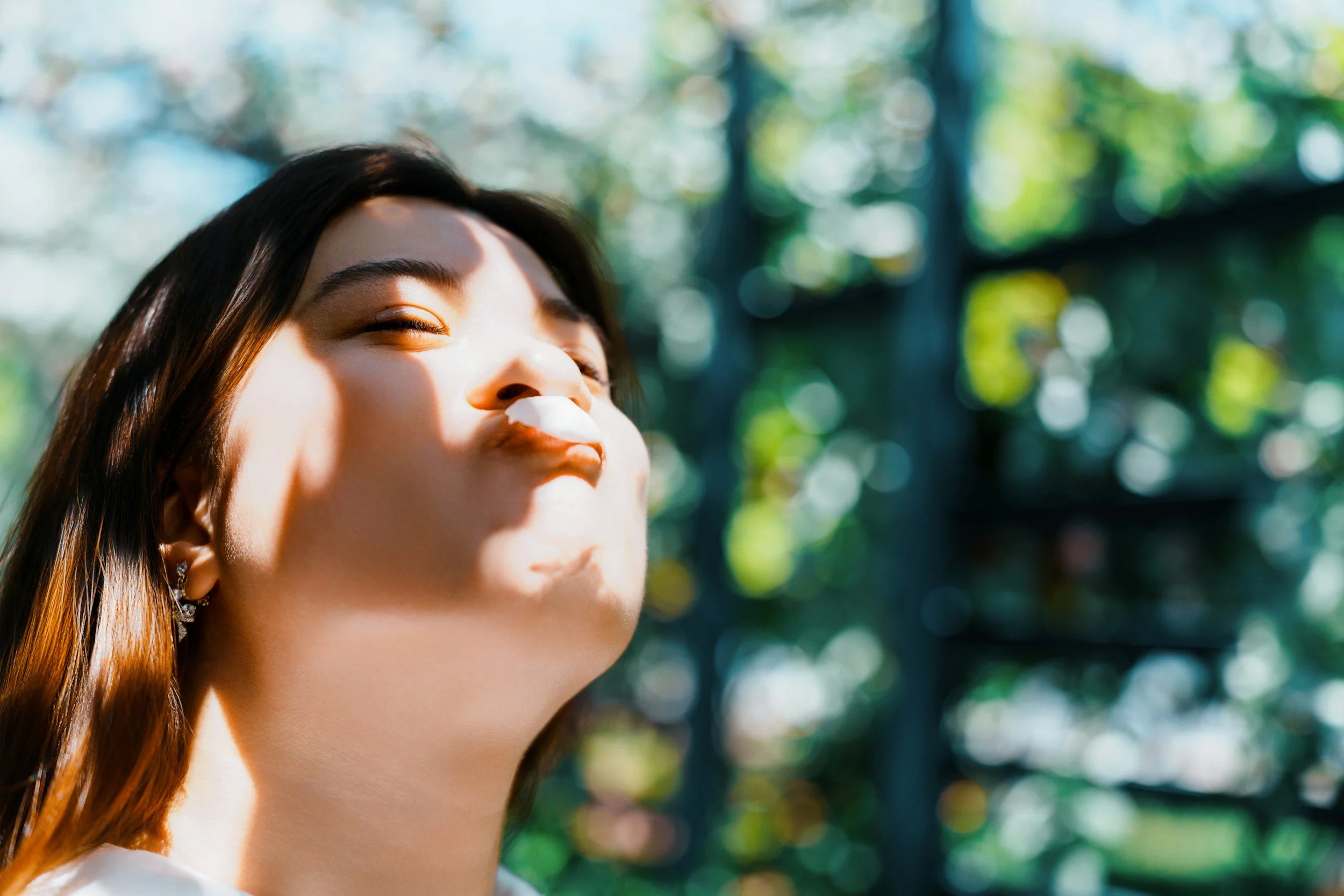 The Air Is Not Neutral: Chemical Signaling and What it Feels Like to Live in It  